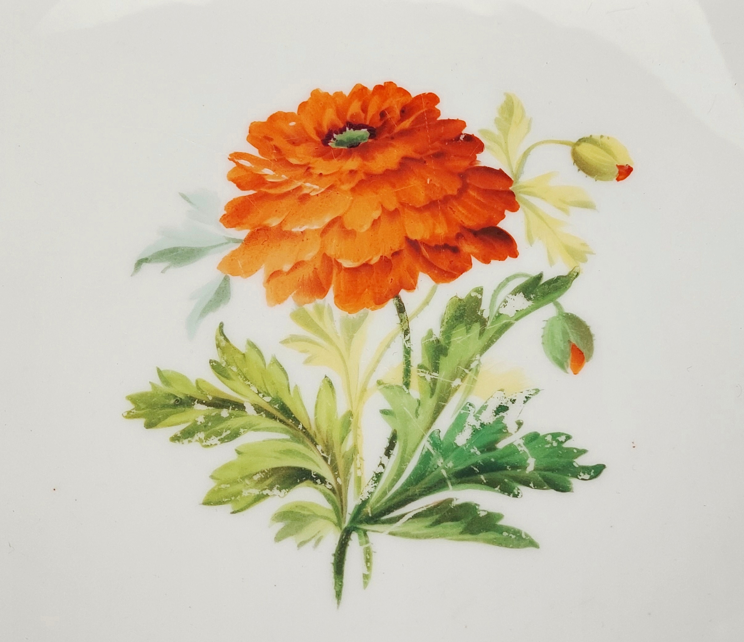 c1850 Mintons Tazza - Image 3