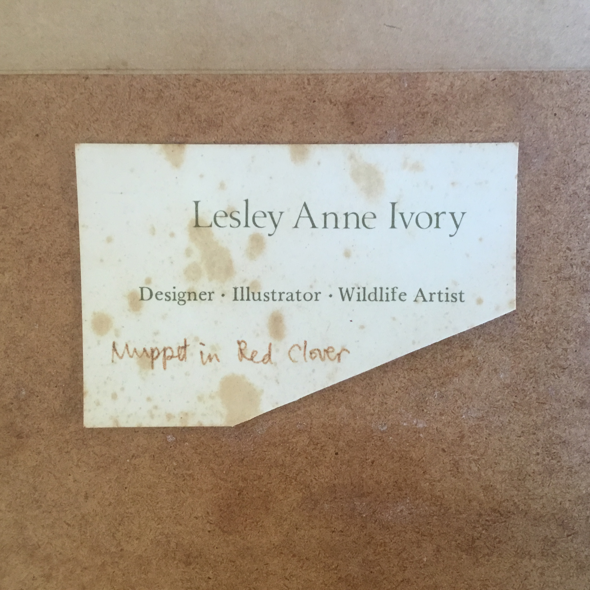 Lesley Anne Ivory original cat watercolour 'Muppet in Red Clover' large framed painting - Image 5