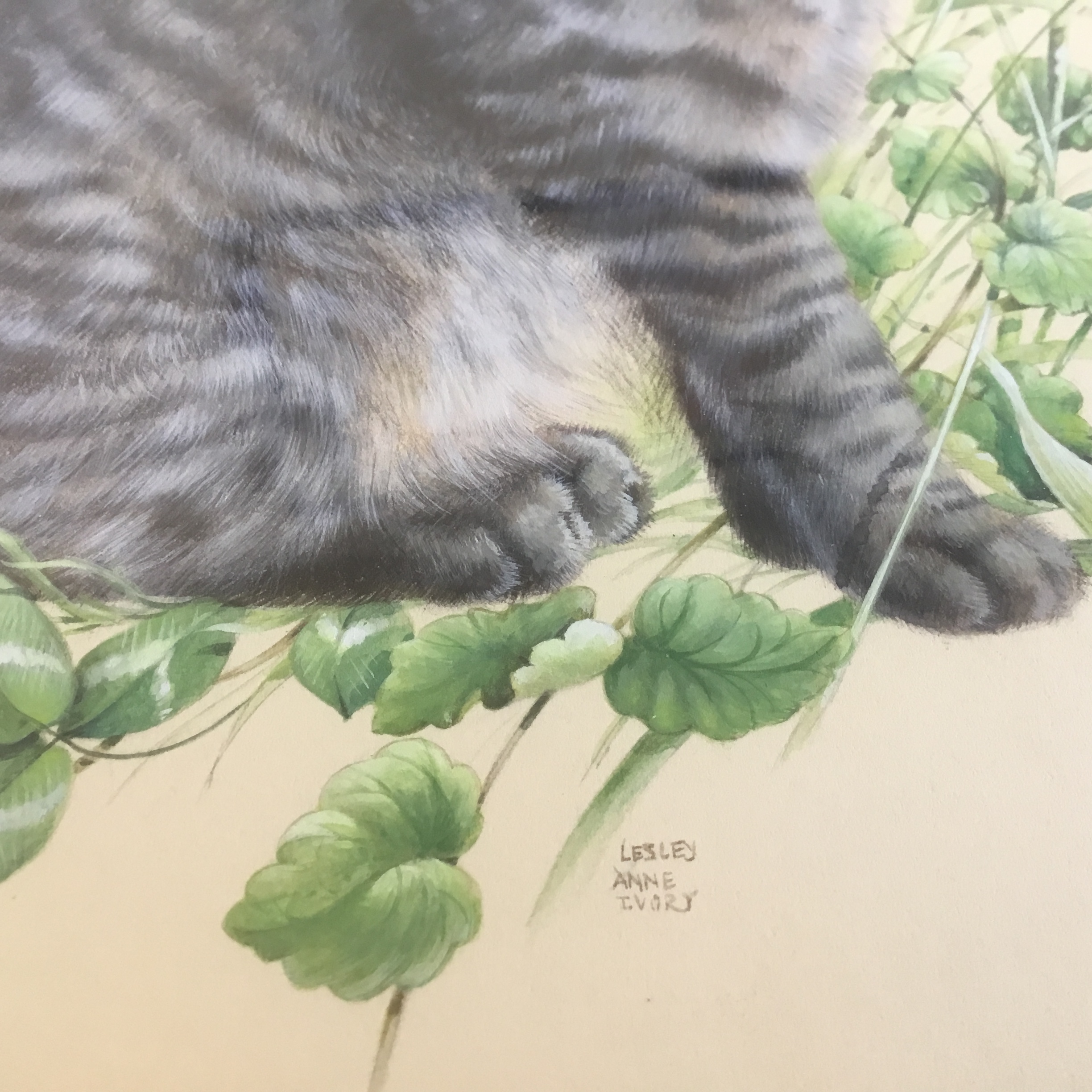 Lesley Anne Ivory original cat watercolour 'Muppet in Red Clover' large framed painting - Image 4
