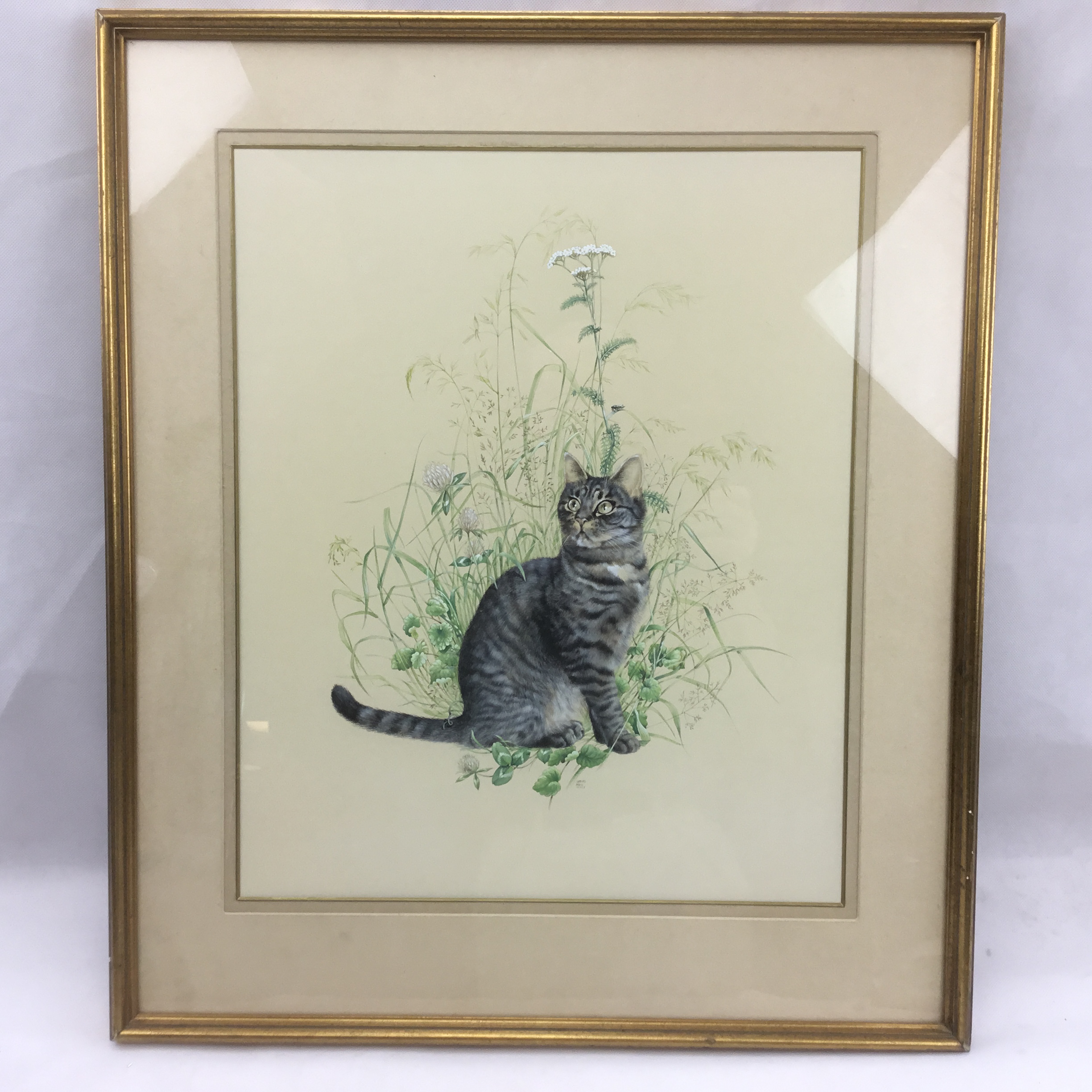 Lesley Anne Ivory original cat watercolour 'Muppet in Red Clover' large framed painting