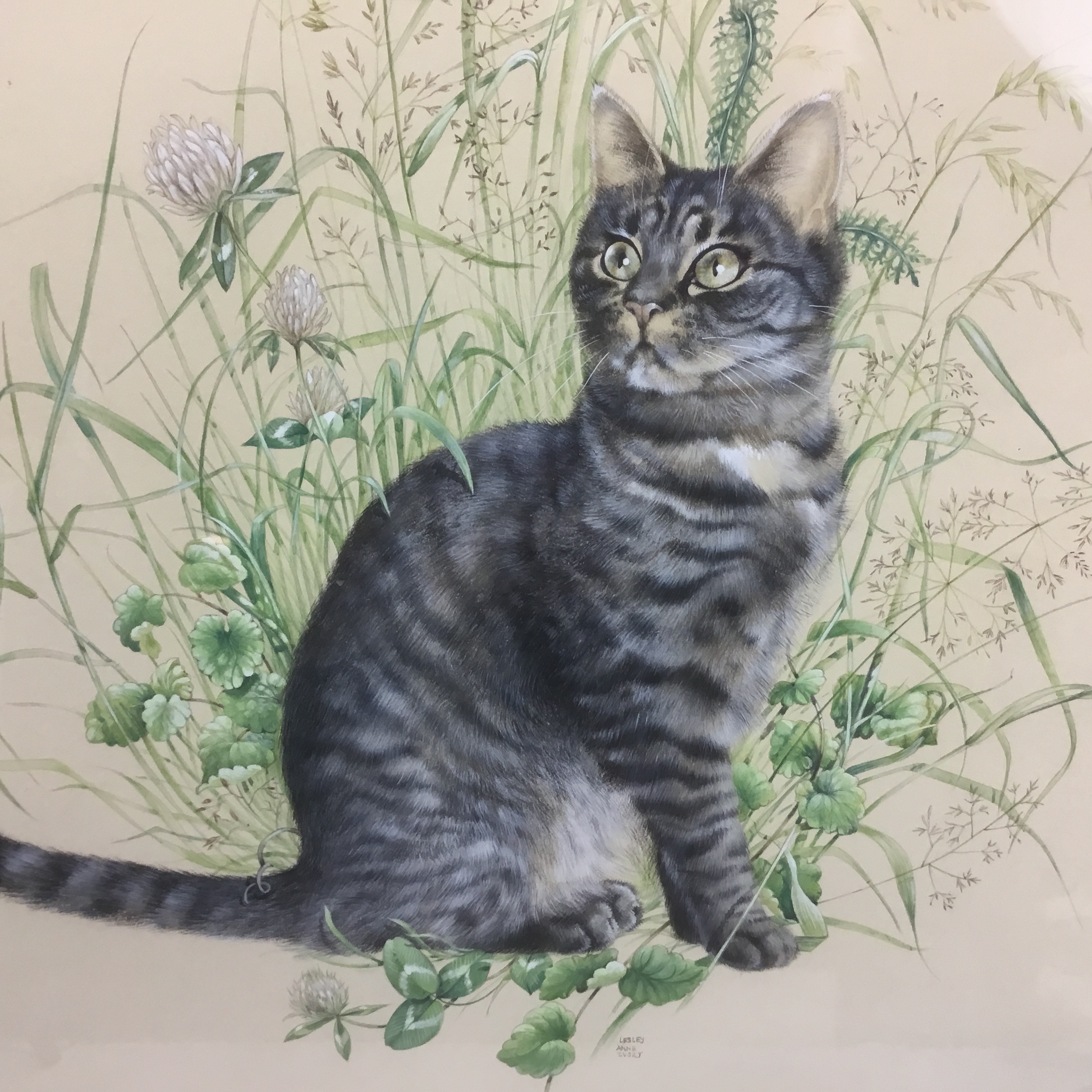 Lesley Anne Ivory original cat watercolour 'Muppet in Red Clover' large framed painting - Image 3