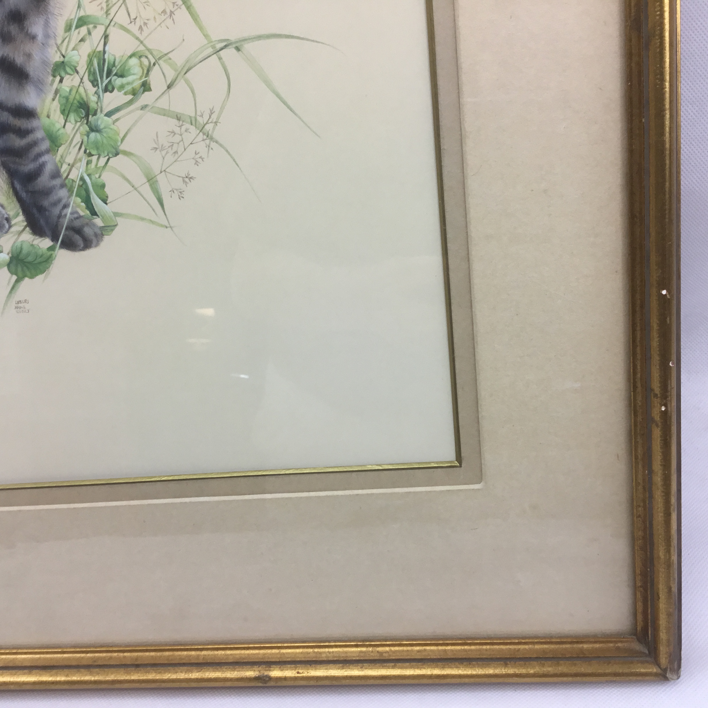 Lesley Anne Ivory original cat watercolour 'Muppet in Red Clover' large framed painting - Image 8
