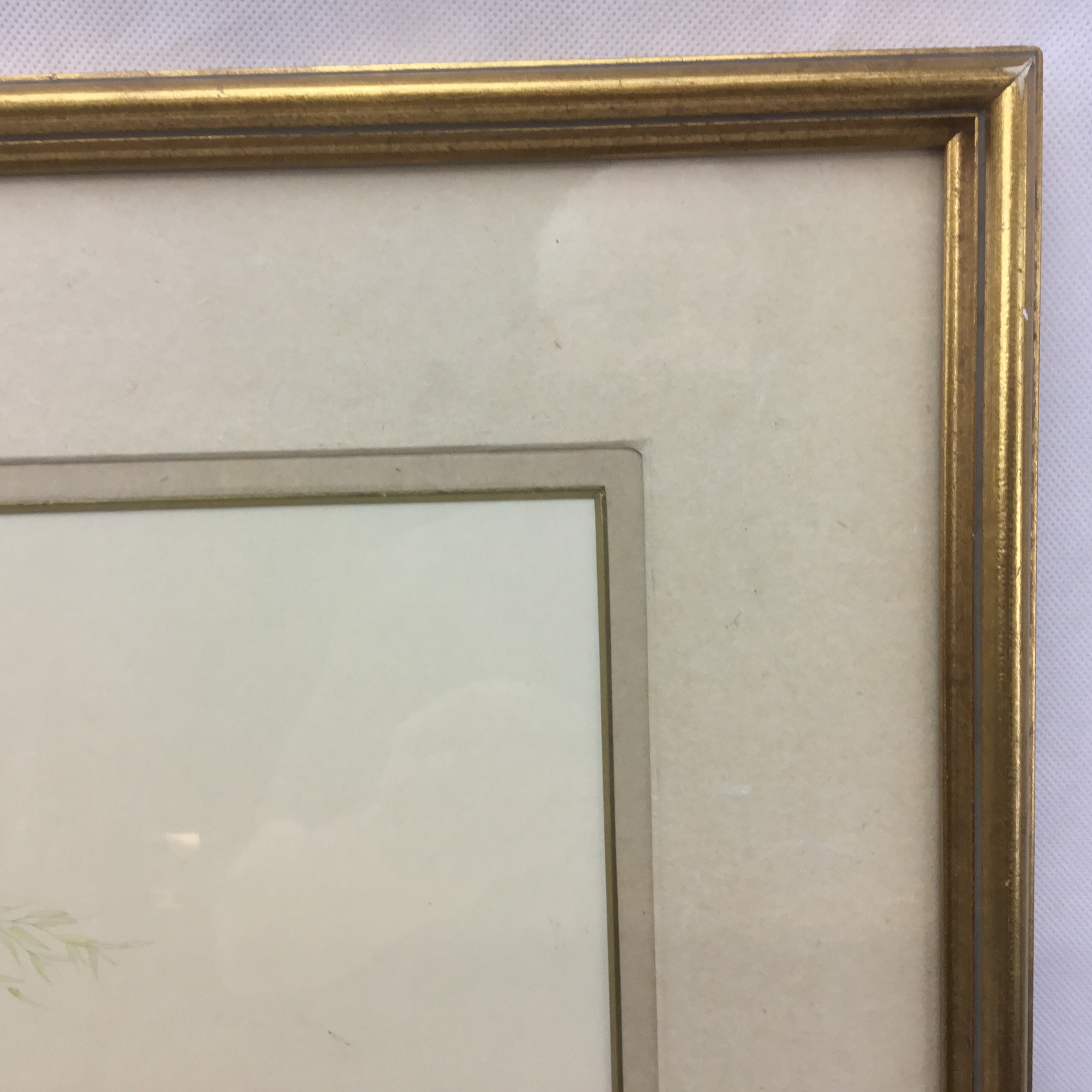 Lesley Anne Ivory original cat watercolour 'Muppet in Red Clover' large framed painting - Image 7