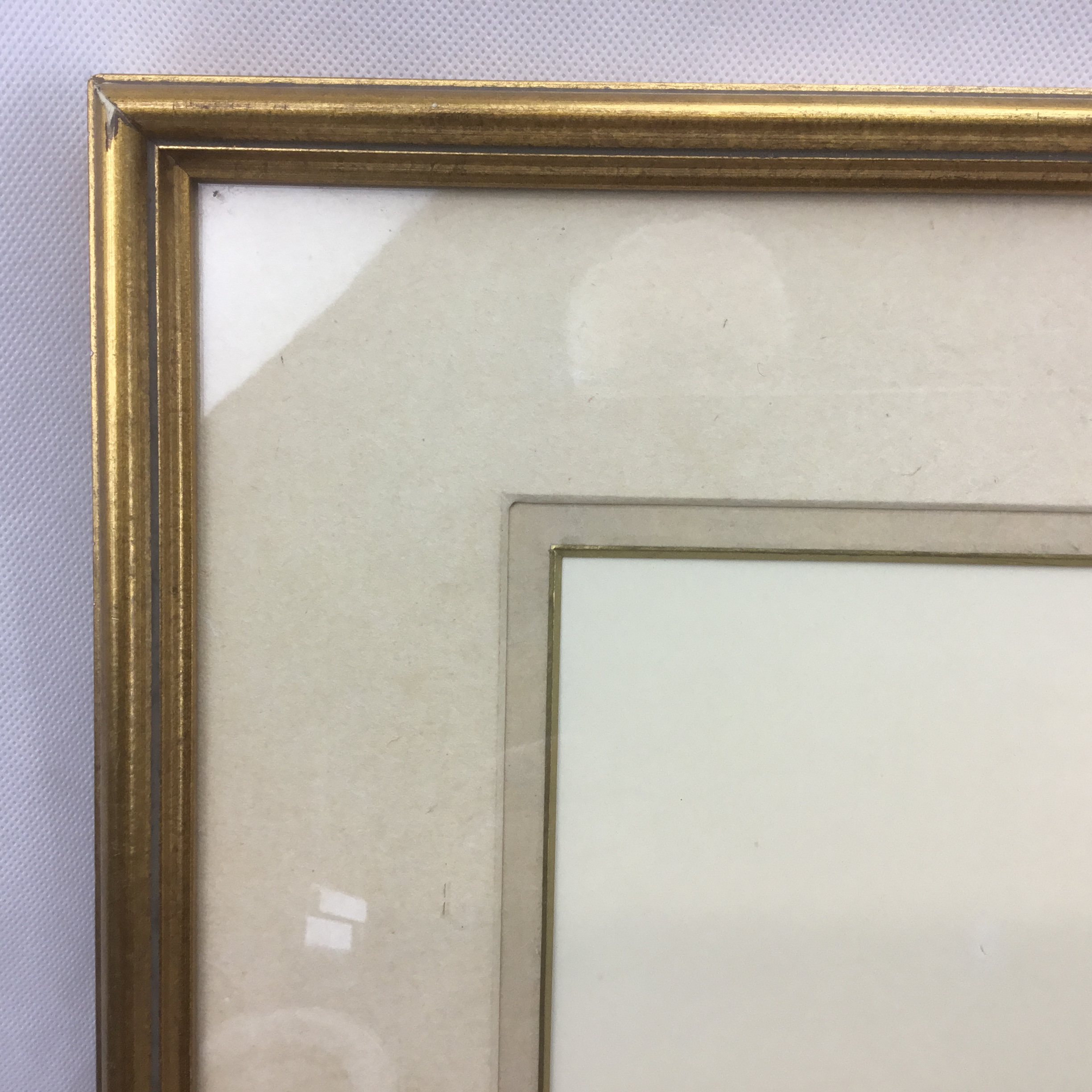 Lesley Anne Ivory original cat watercolour 'Muppet in Red Clover' large framed painting - Image 6