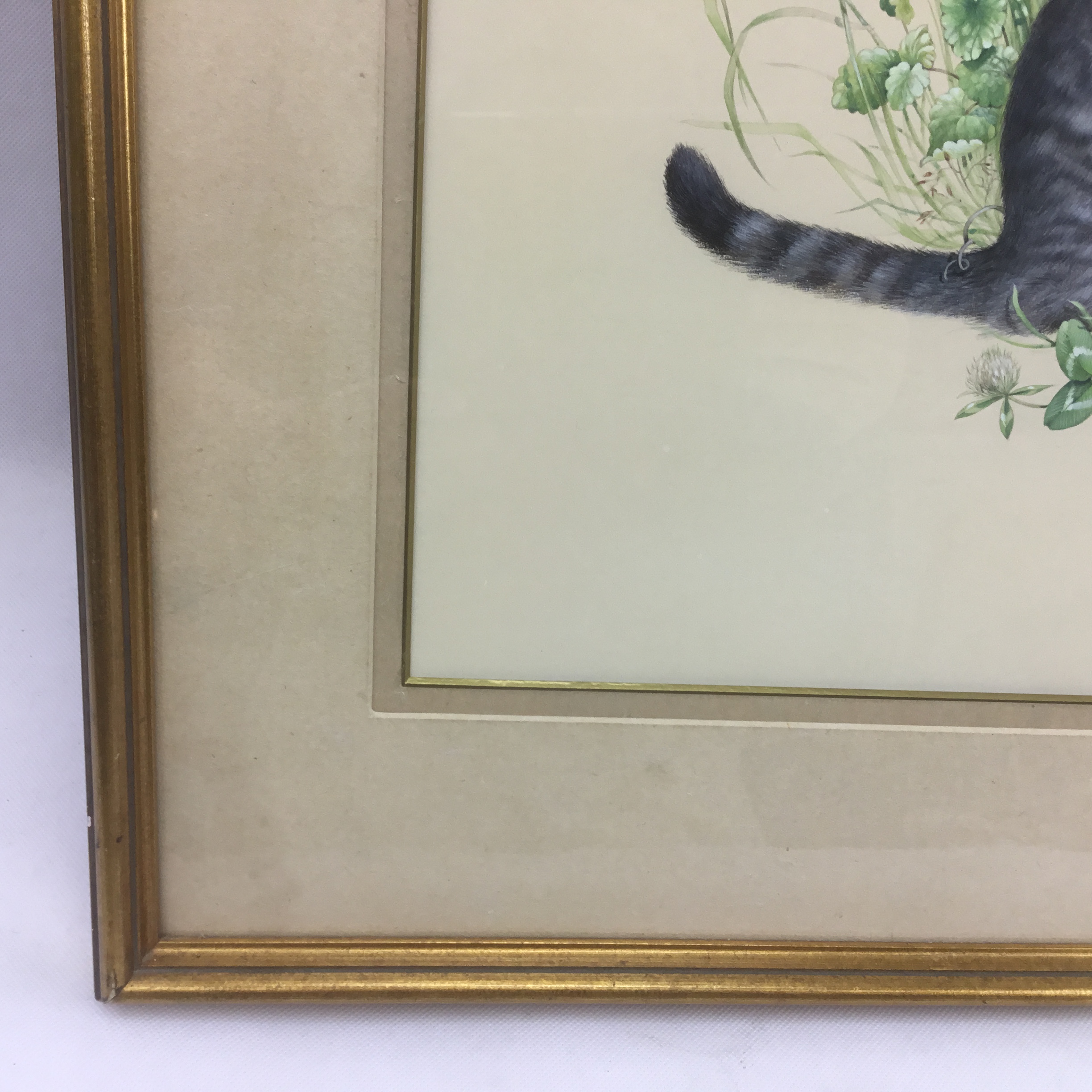 Lesley Anne Ivory original cat watercolour 'Muppet in Red Clover' large framed painting - Image 9