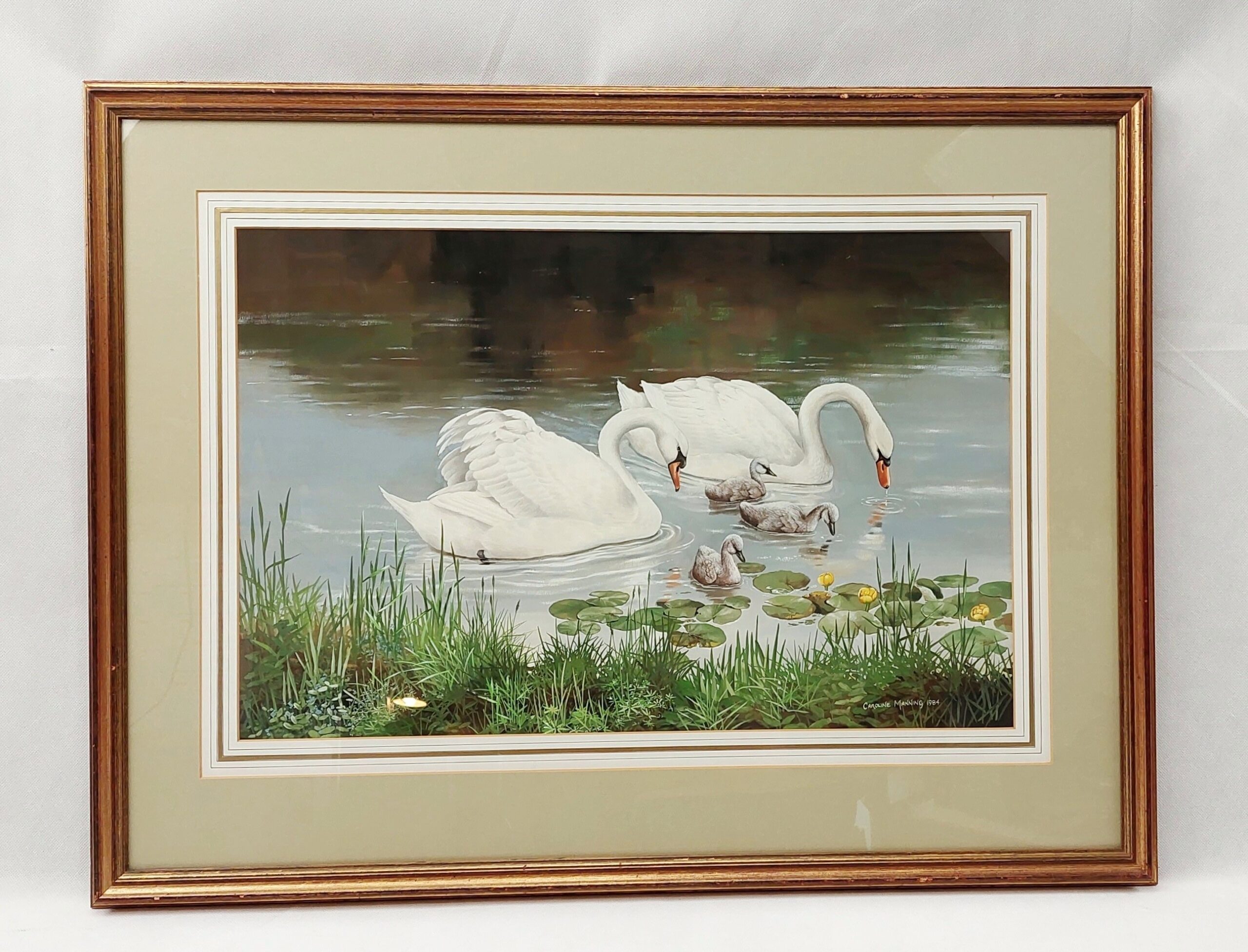 Framed Gouache Study Of Swans And Cygnets On A Lake By Caroline Manning