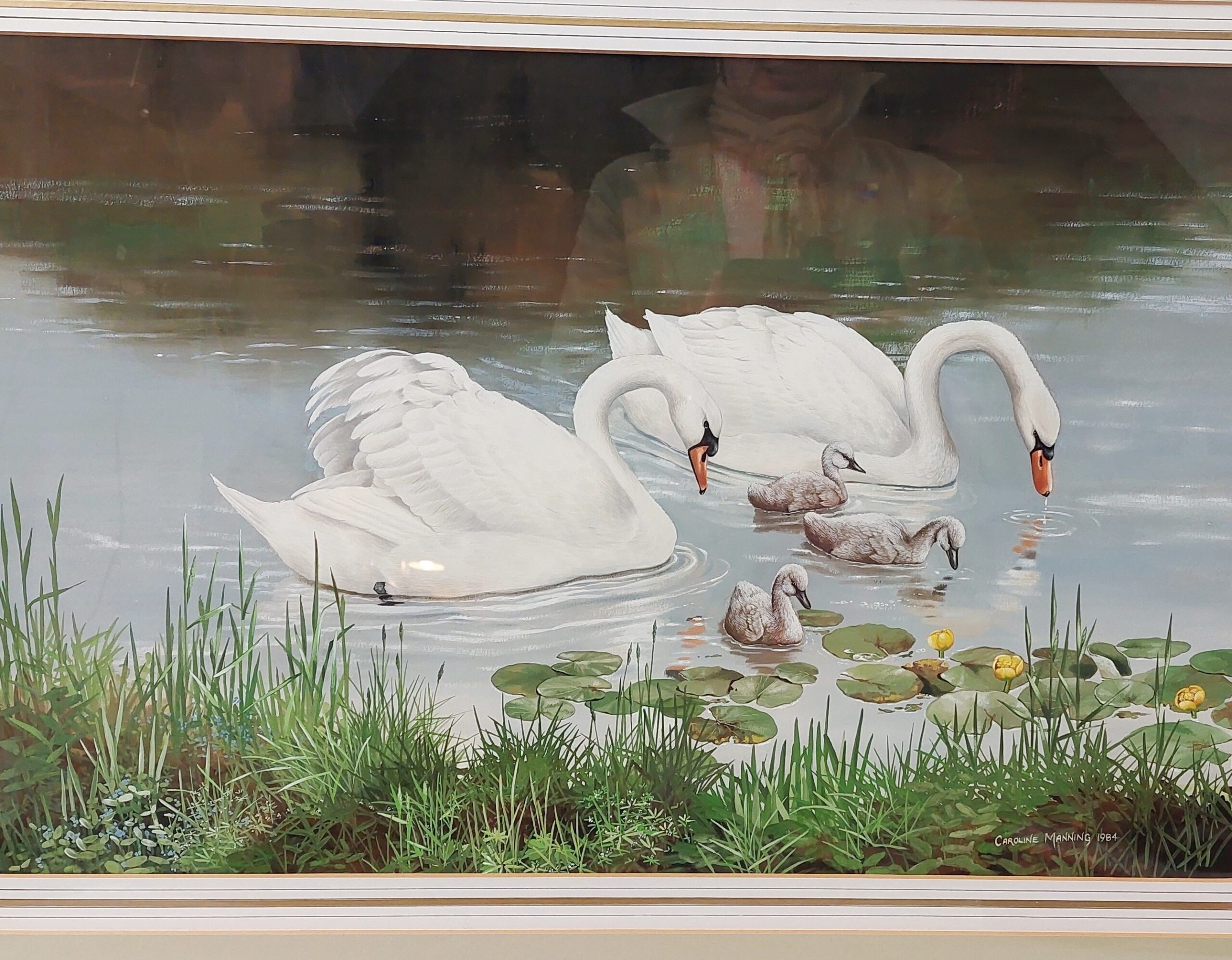 Framed Gouache Study Of Swans And Cygnets On A Lake By Caroline Manning - Image 2