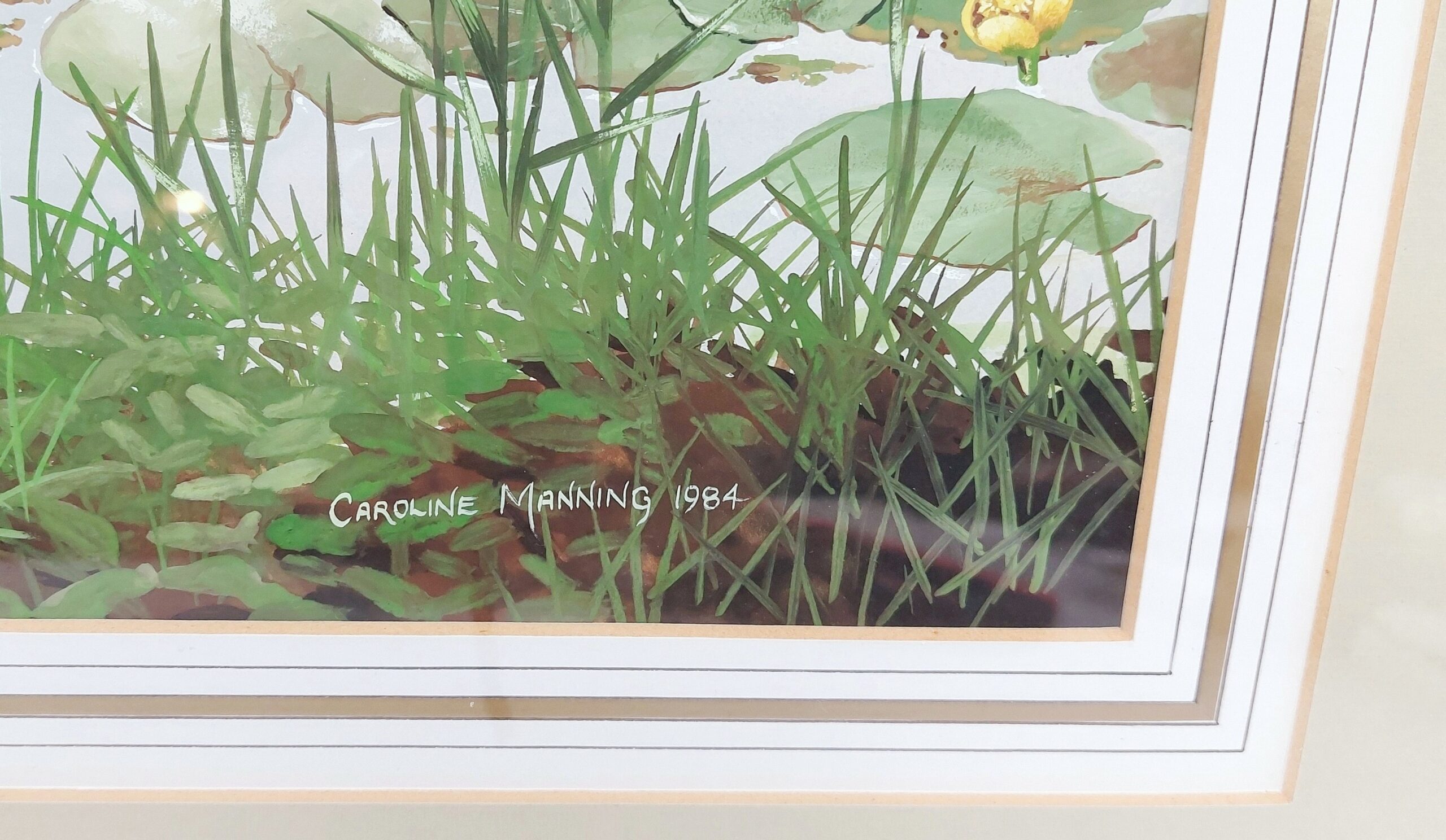 Framed Gouache Study Of Swans And Cygnets On A Lake By Caroline Manning - Image 6