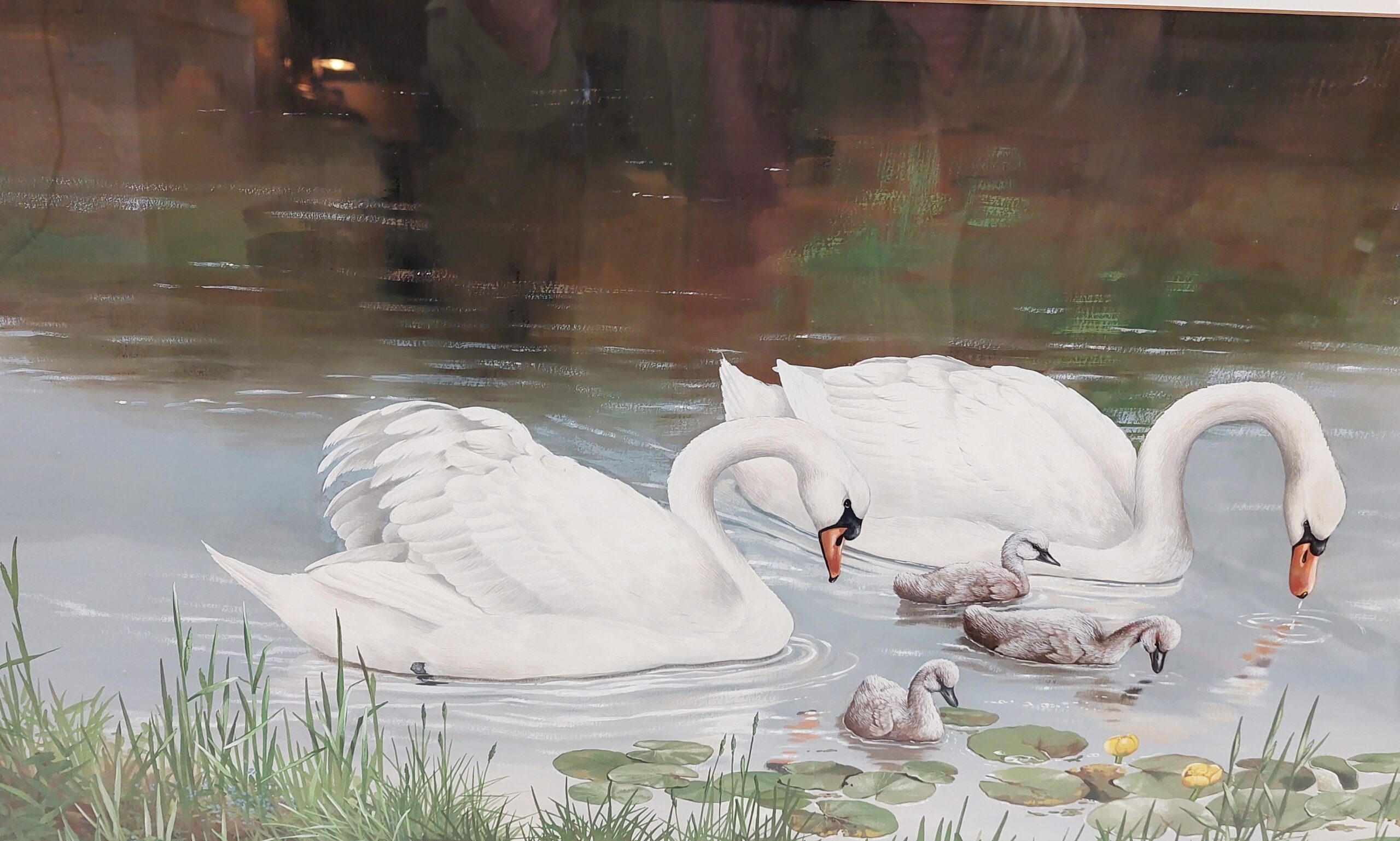 Framed Gouache Study Of Swans And Cygnets On A Lake By Caroline Manning - Image 4