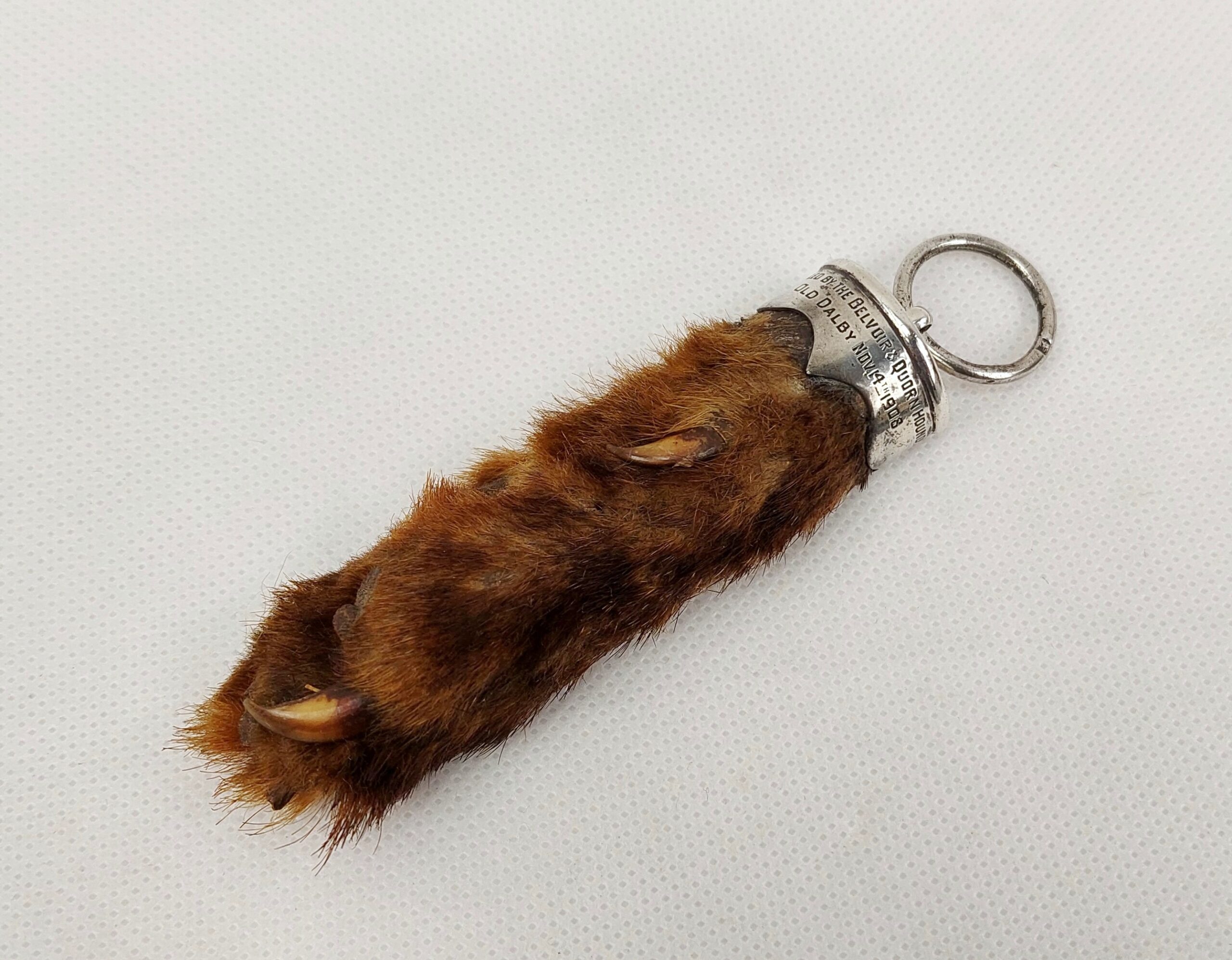 c1908 Silver Mounted Otters Foot by Rowland Ward