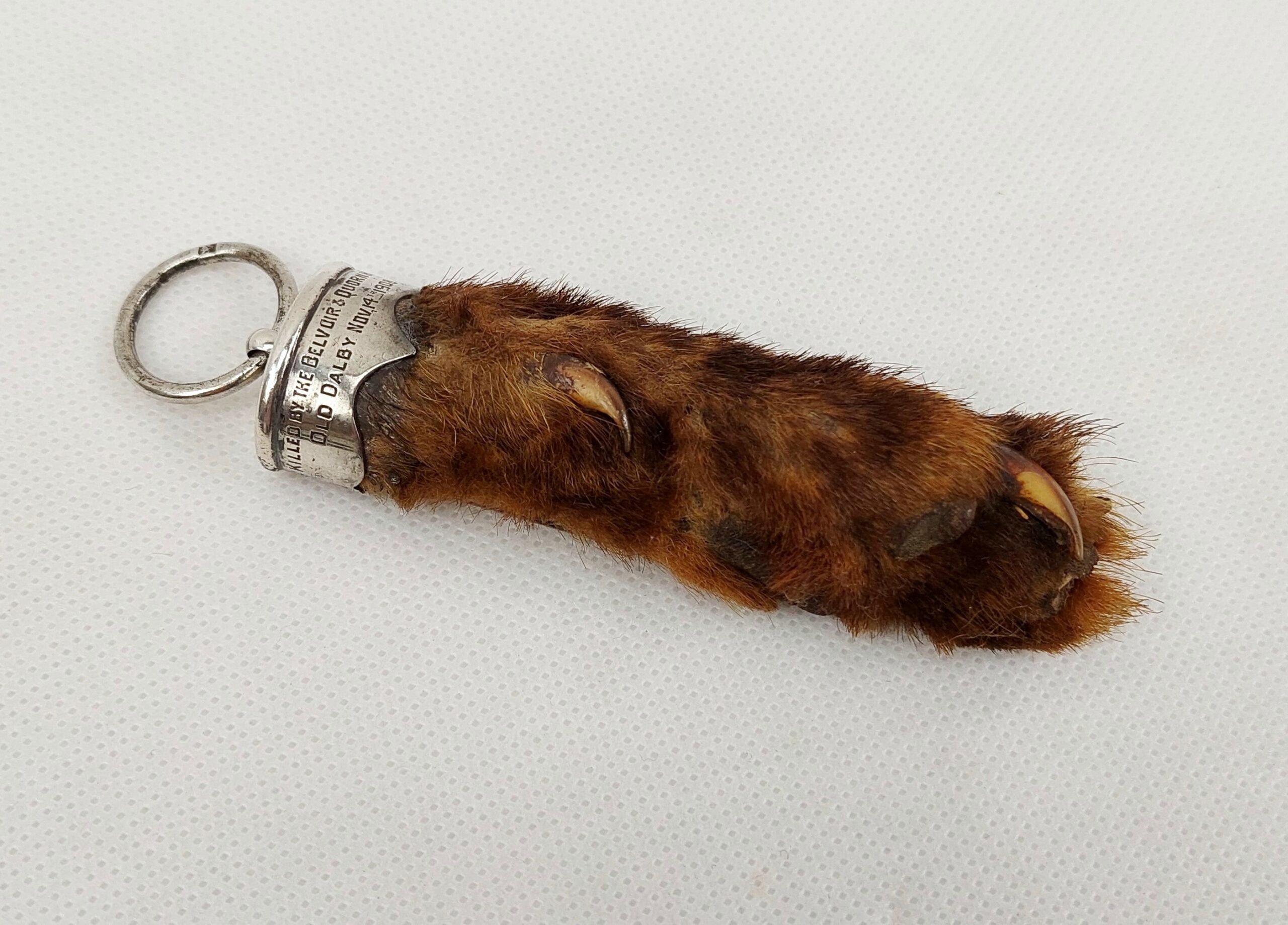 c1908 Silver Mounted Otters Foot by Rowland Ward - Image 2