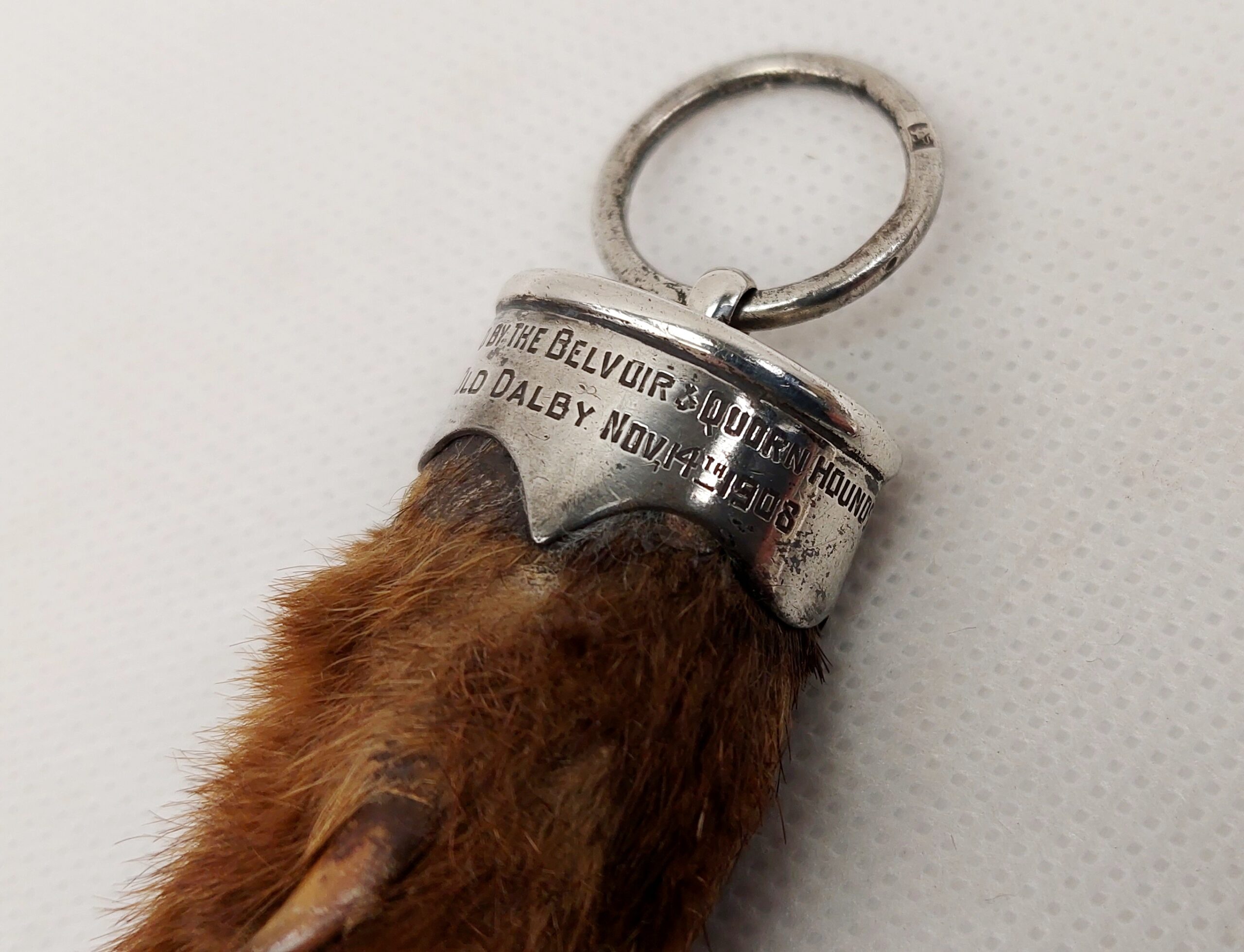 c1908 Silver Mounted Otters Foot by Rowland Ward - Image 4