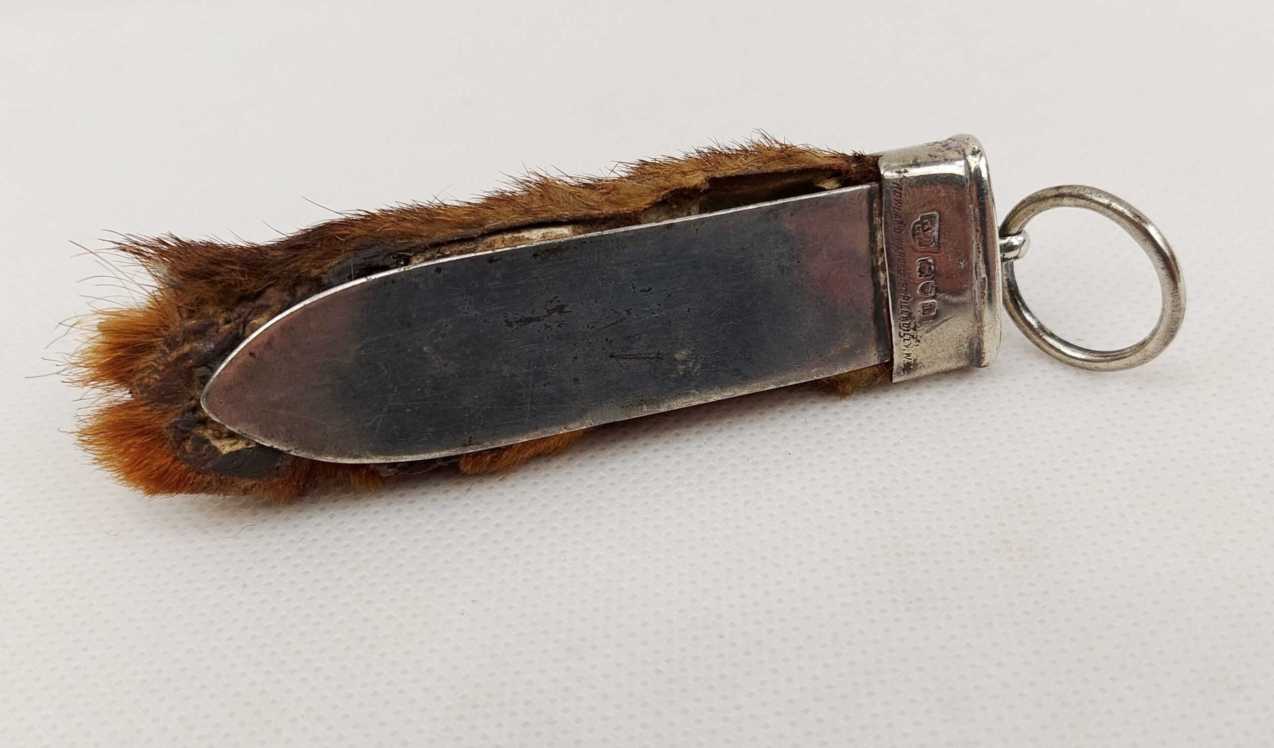 c1908 Silver Mounted Otters Foot by Rowland Ward - Image 6