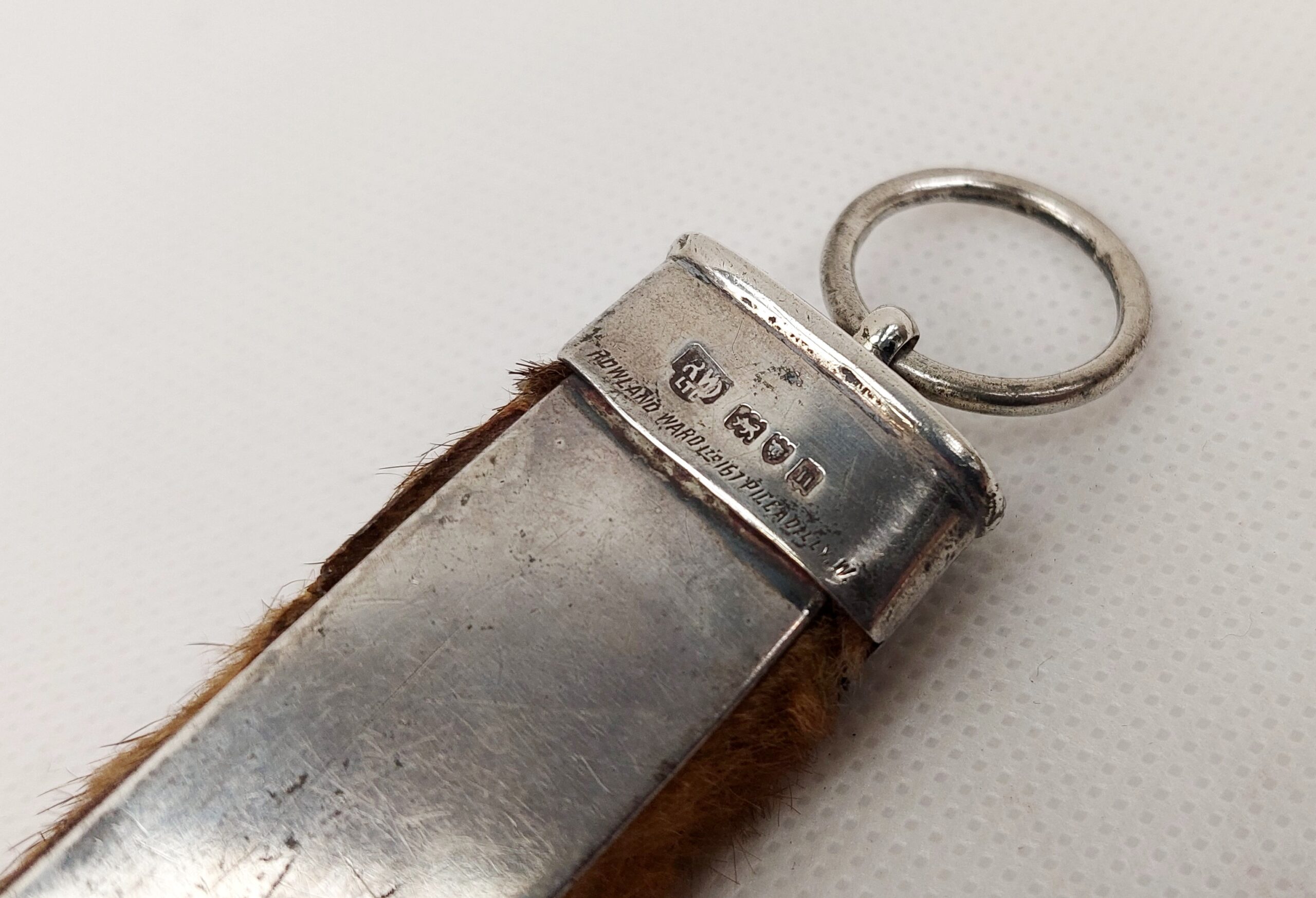 c1908 Silver Mounted Otters Foot by Rowland Ward - Image 7