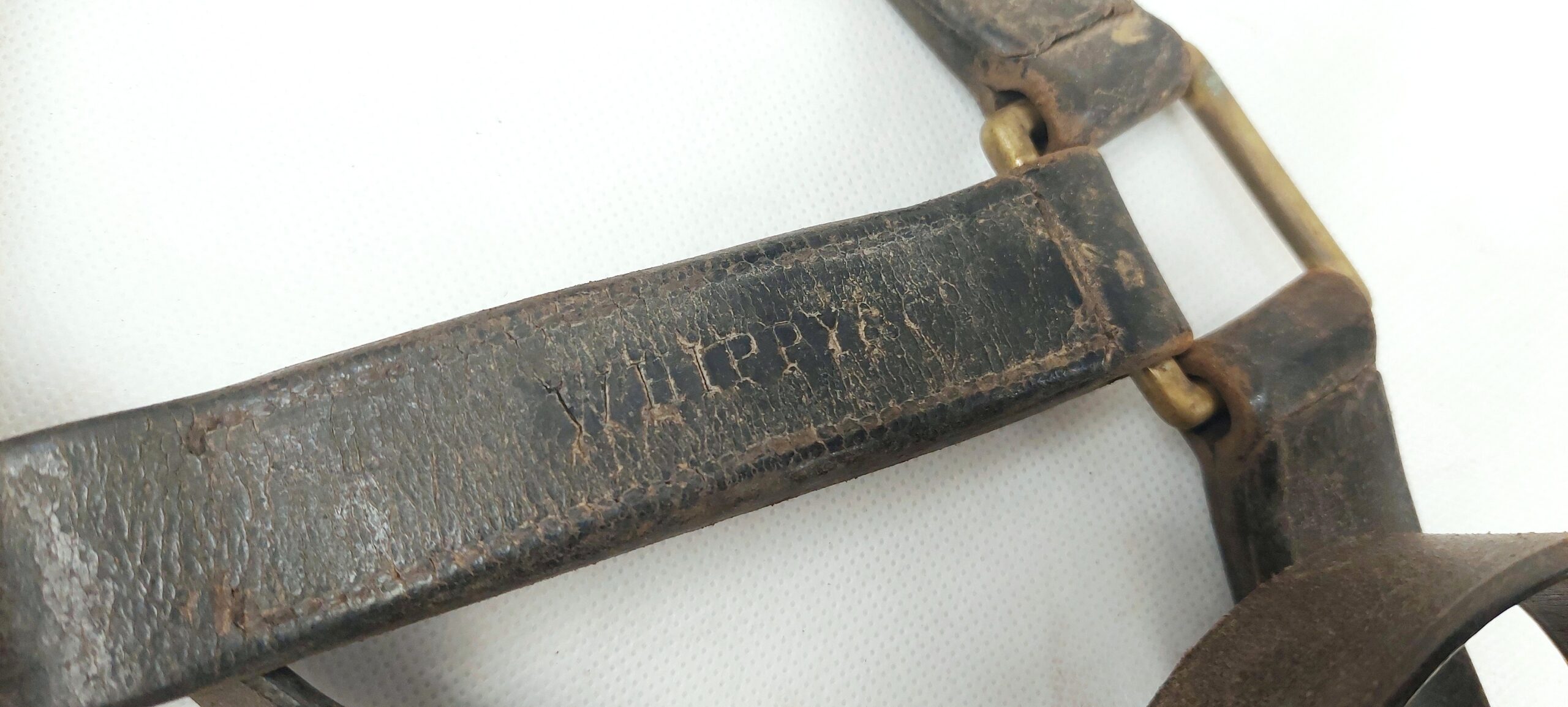 Victorian Military Cavalry Royal Horse Guards Tack c1880 - Image 10