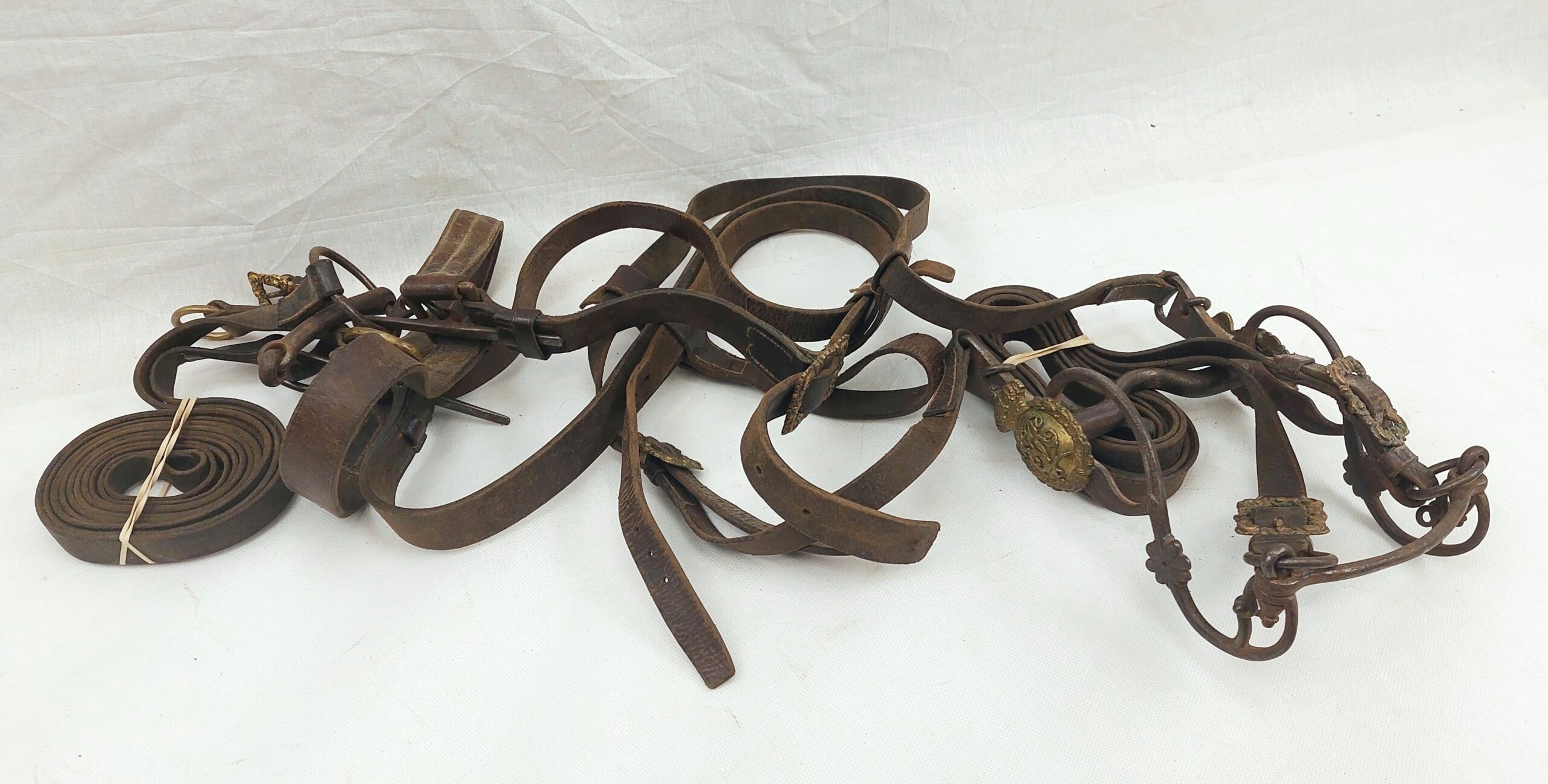 Victorian Military Cavalry Royal Horse Guards Tack c1880 - Image 12