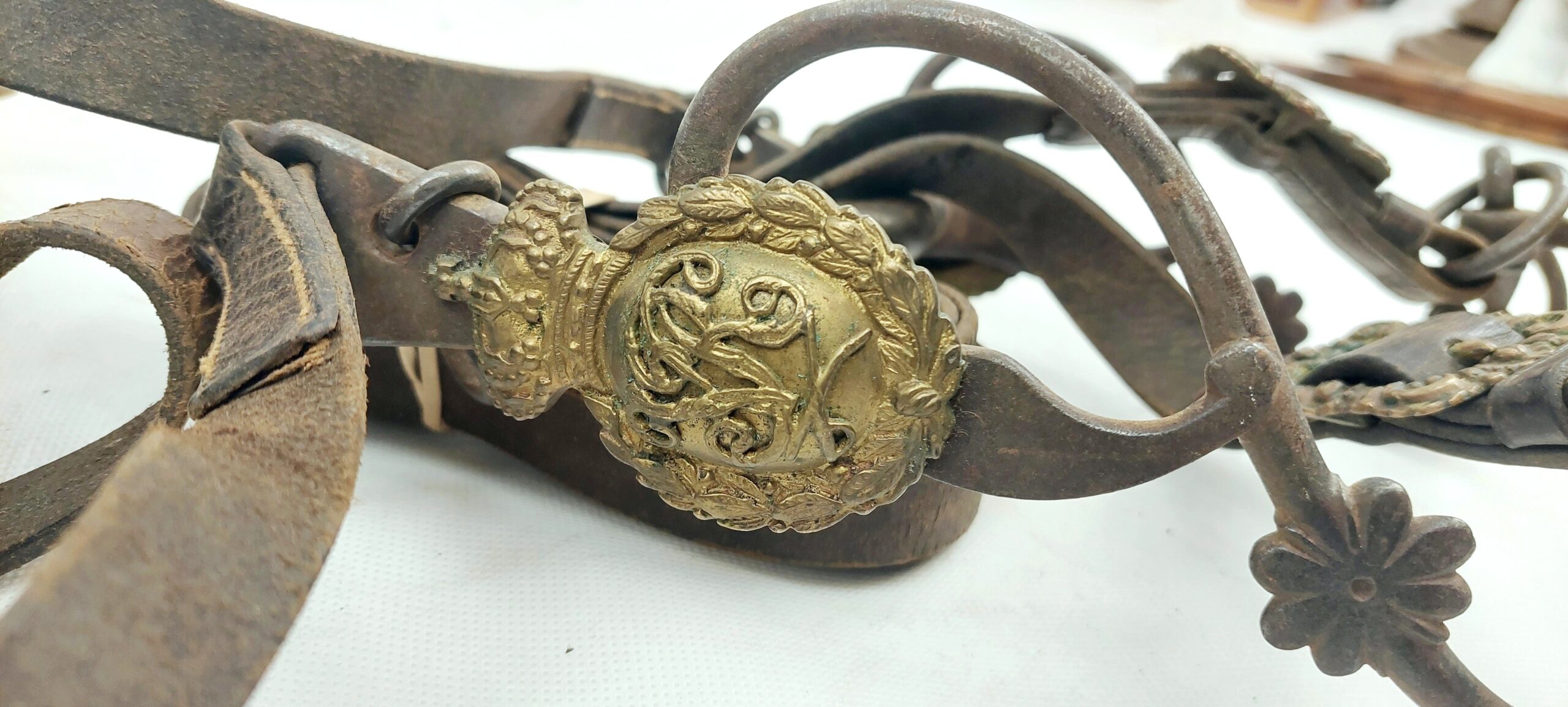 Victorian Military Cavalry Royal Horse Guards Tack c1880 - Image 13