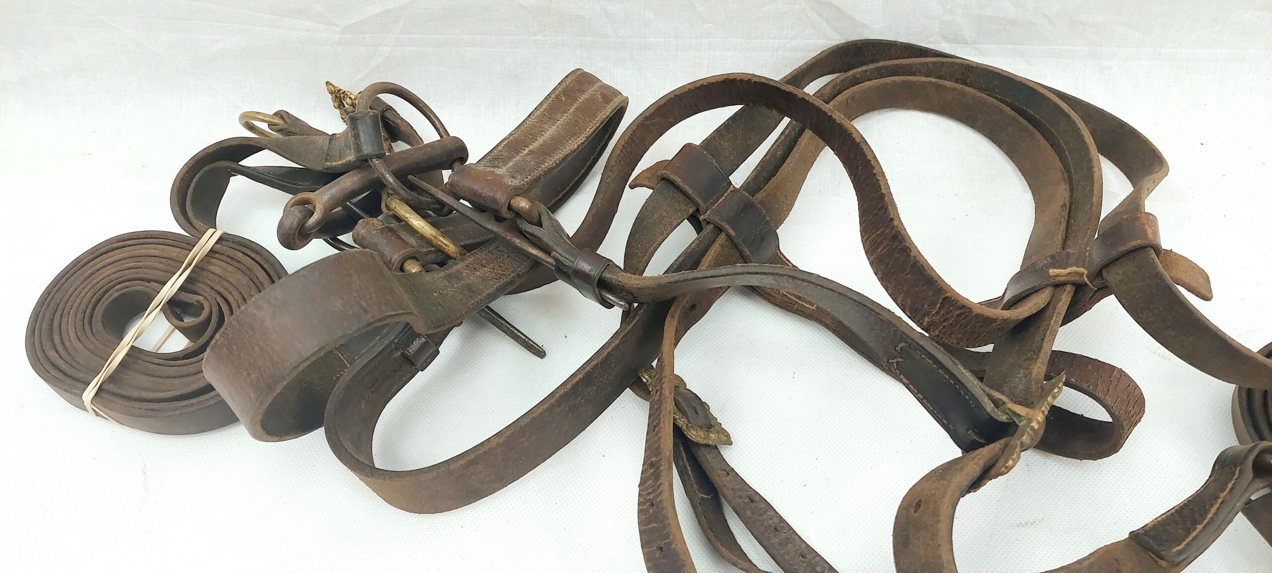Victorian Military Cavalry Royal Horse Guards Tack c1880 - Image 16