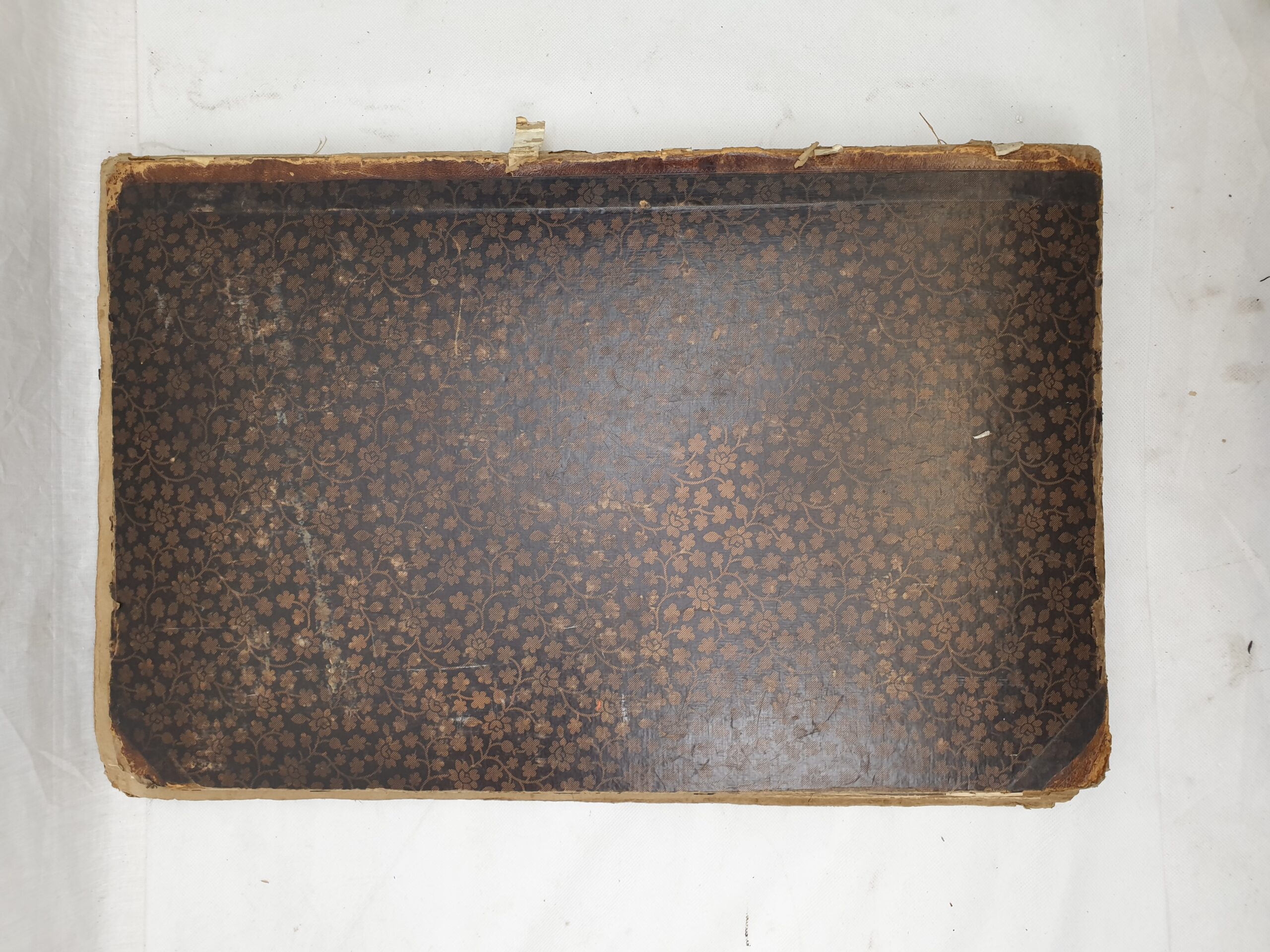 Large Victorian Album Containing Numerous Chromolithograph Prints - Image 3
