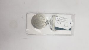 Pakistani Republic Day Medal 1956