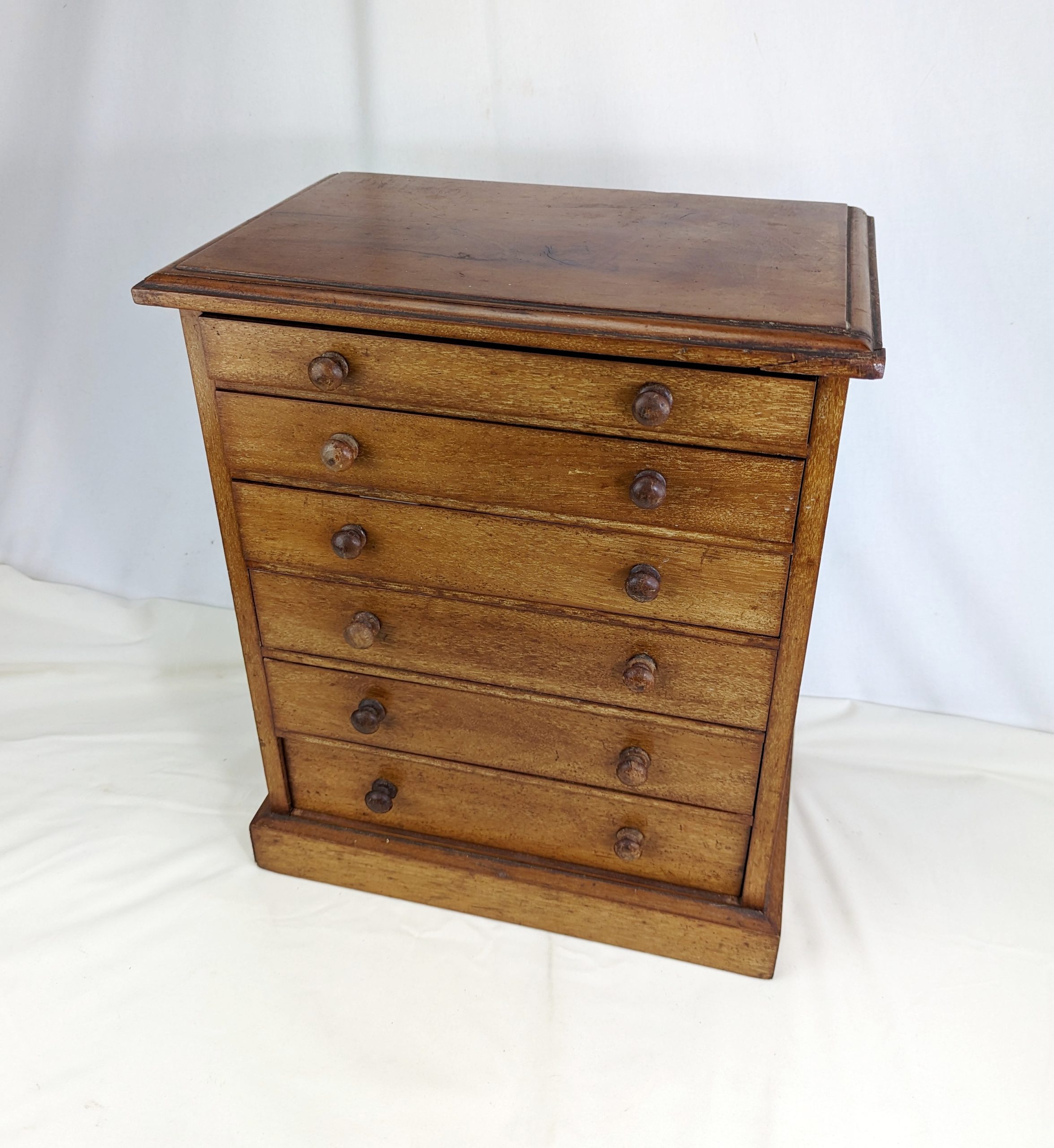 Assortment of Organic and Geological Samples Chest