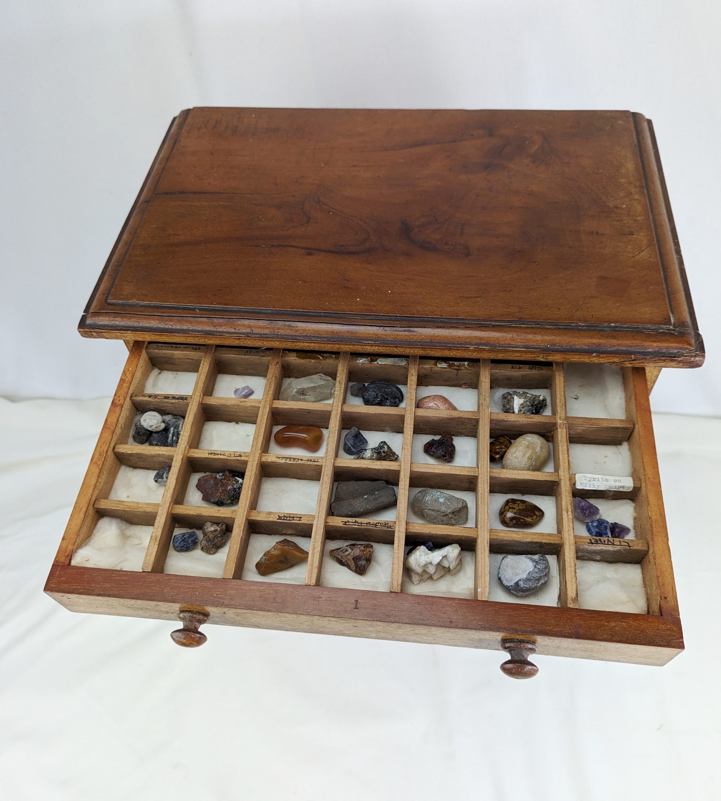 Assortment of Organic and Geological Samples Chest - Image 2