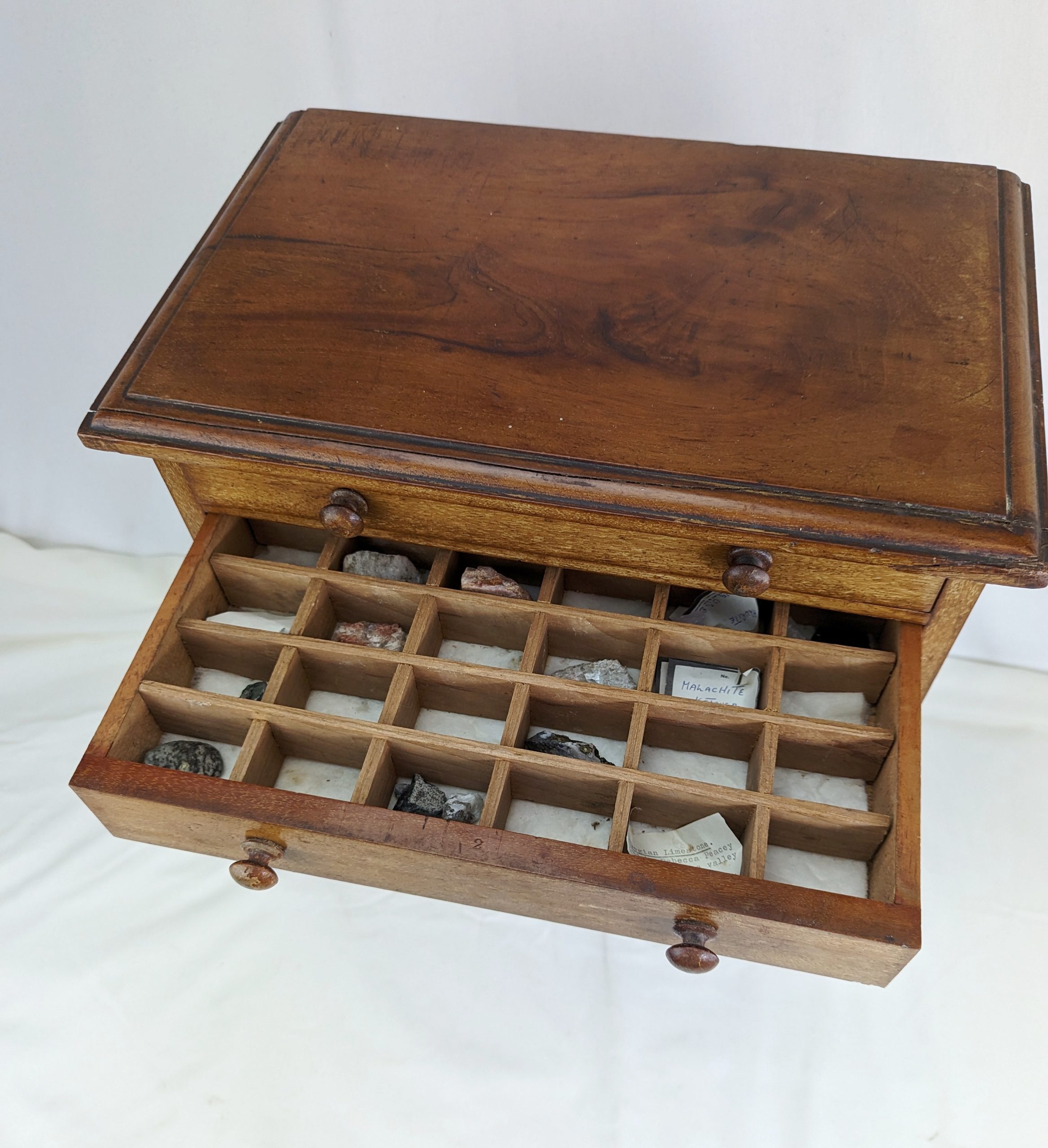 Assortment of Organic and Geological Samples Chest - Image 3