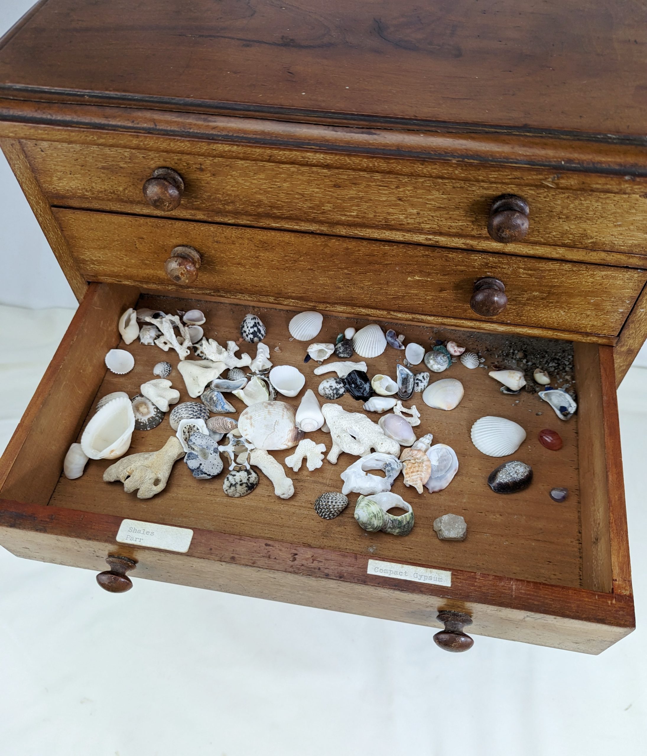 Assortment of Organic and Geological Samples Chest - Image 4