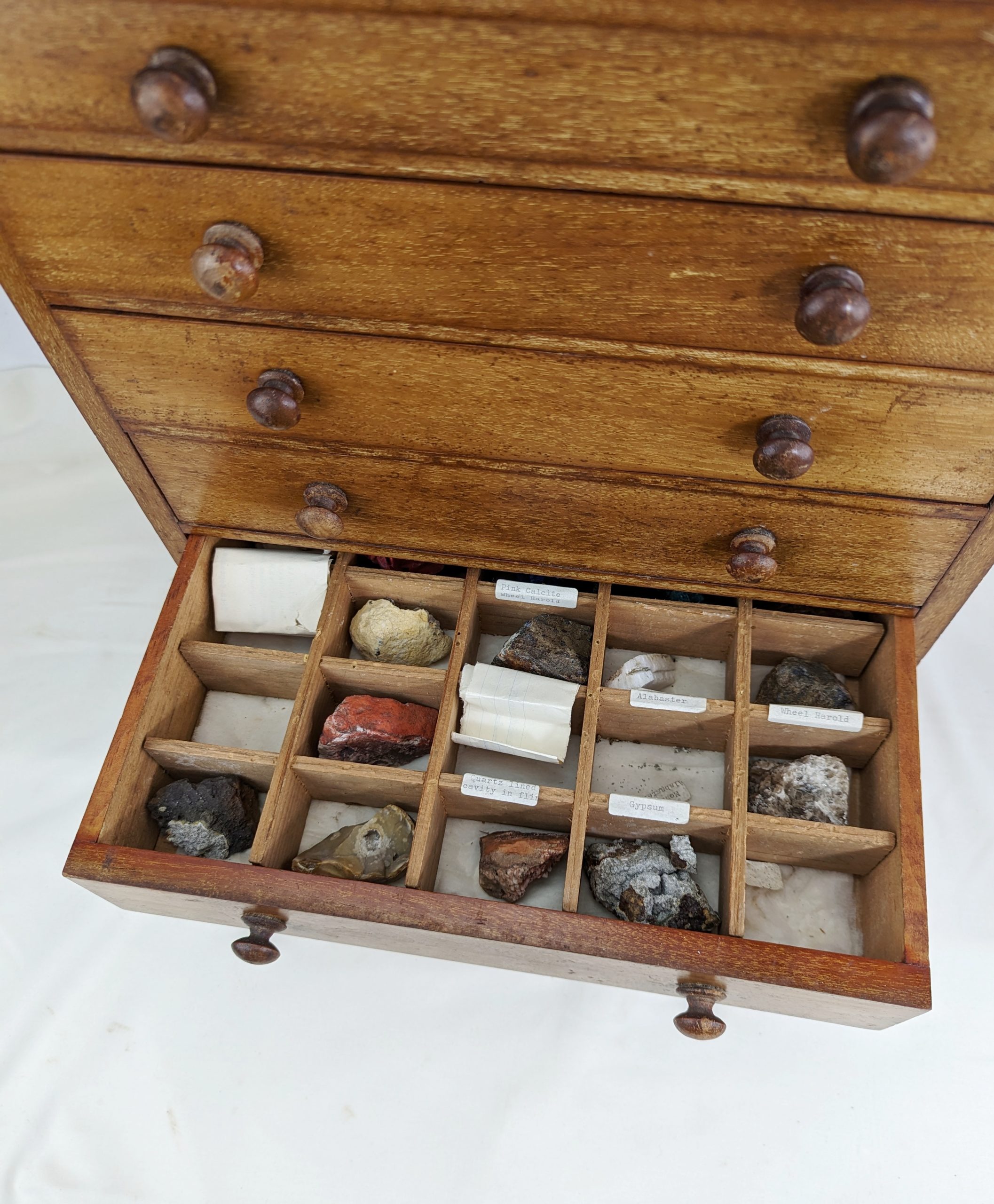 Assortment of Organic and Geological Samples Chest - Image 6