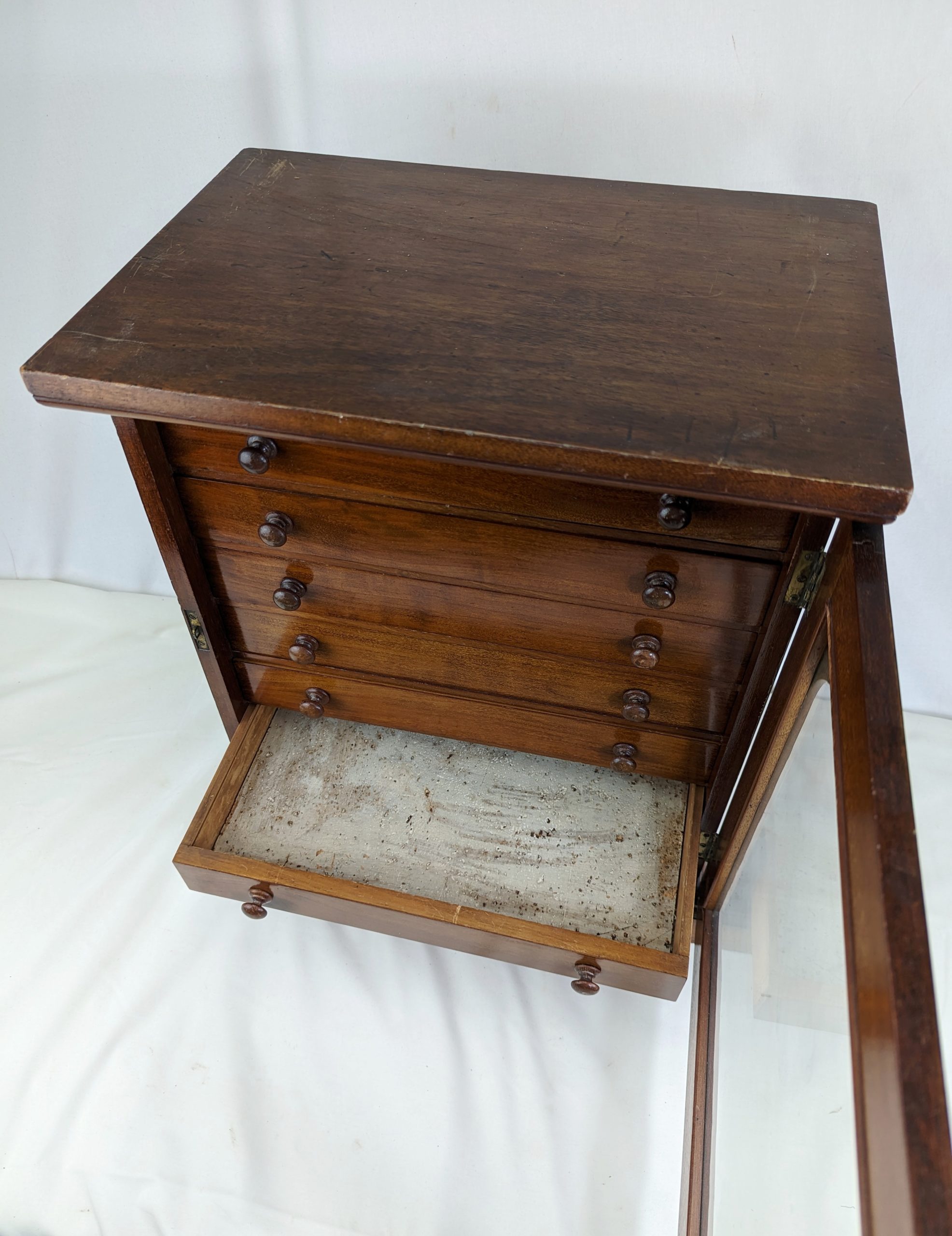 Stained Mahogany Collector’s Cabinet - Image 5