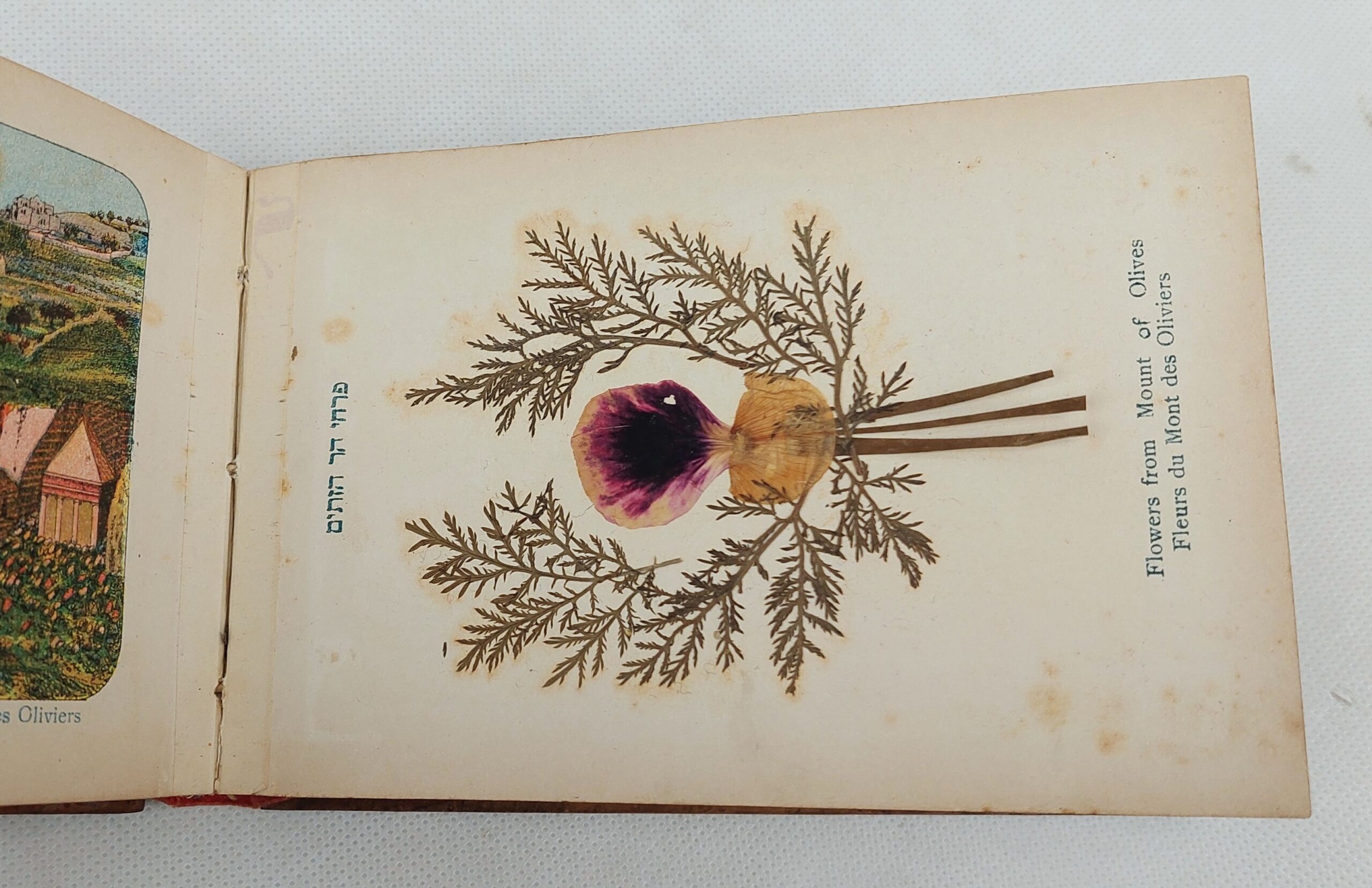 WW1 Era Jerusalem Wooden Bound Postcard Album - Image 8