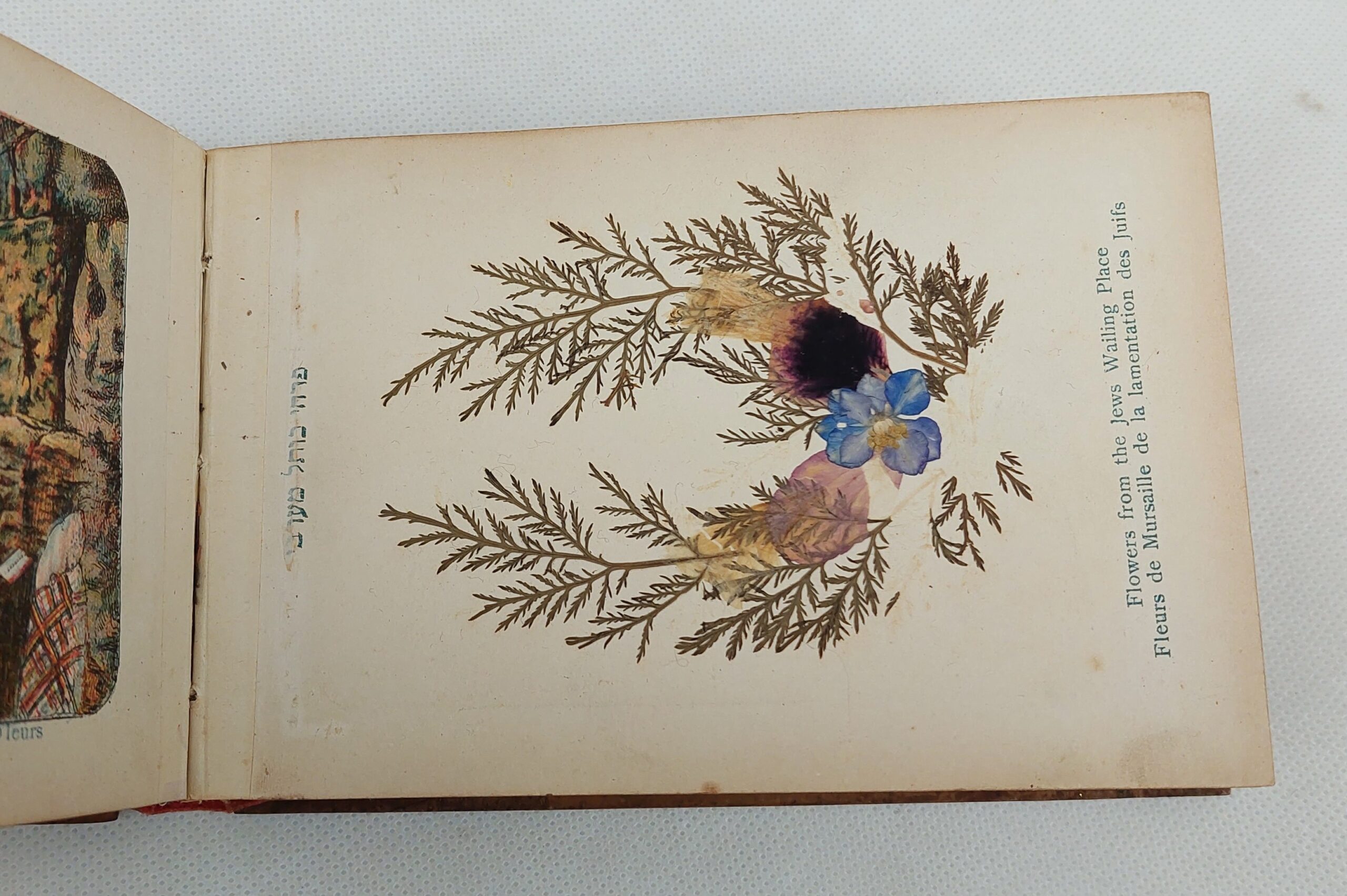 WW1 Era Jerusalem Wooden Bound Postcard Album - Image 7