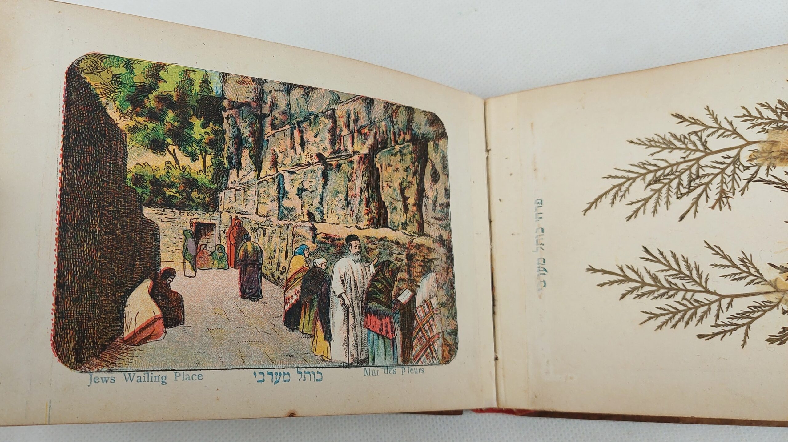 WW1 Era Jerusalem Wooden Bound Postcard Album - Image 6