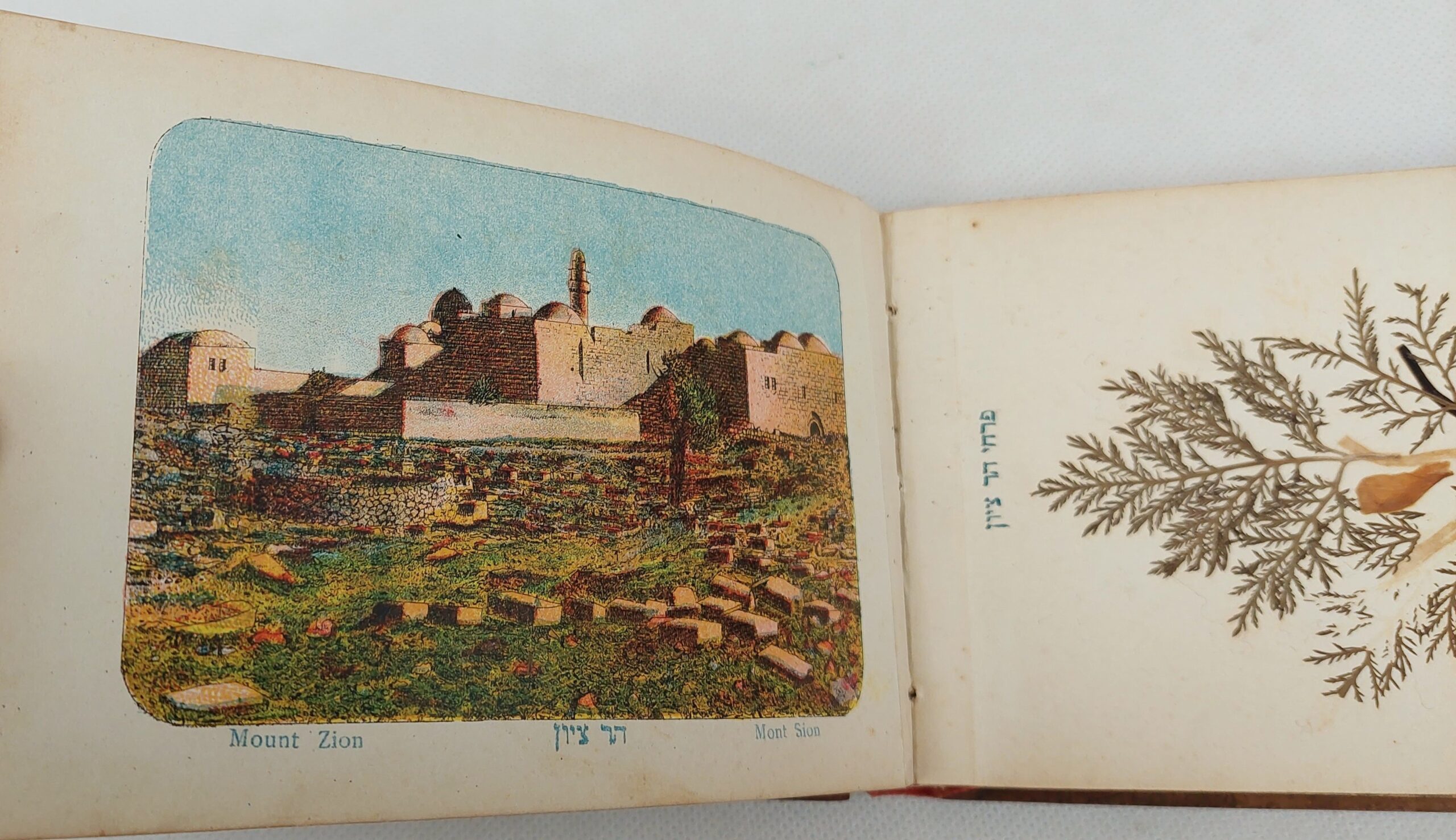 WW1 Era Jerusalem Wooden Bound Postcard Album - Image 5