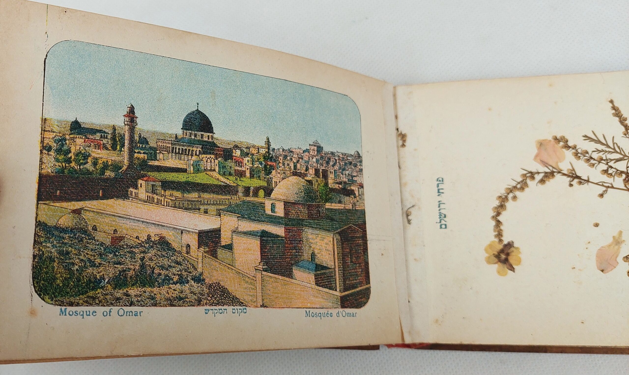 WW1 Era Jerusalem Wooden Bound Postcard Album - Image 4