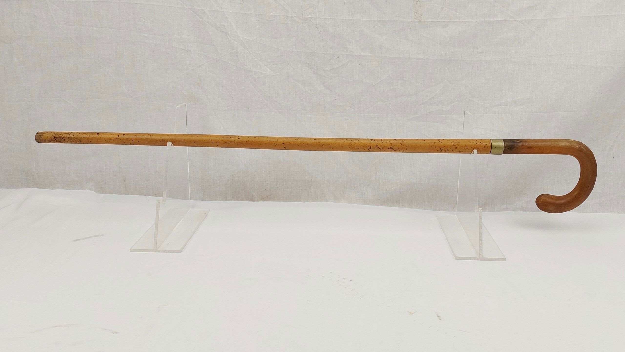 Rams Horn Vintage Walking Stick