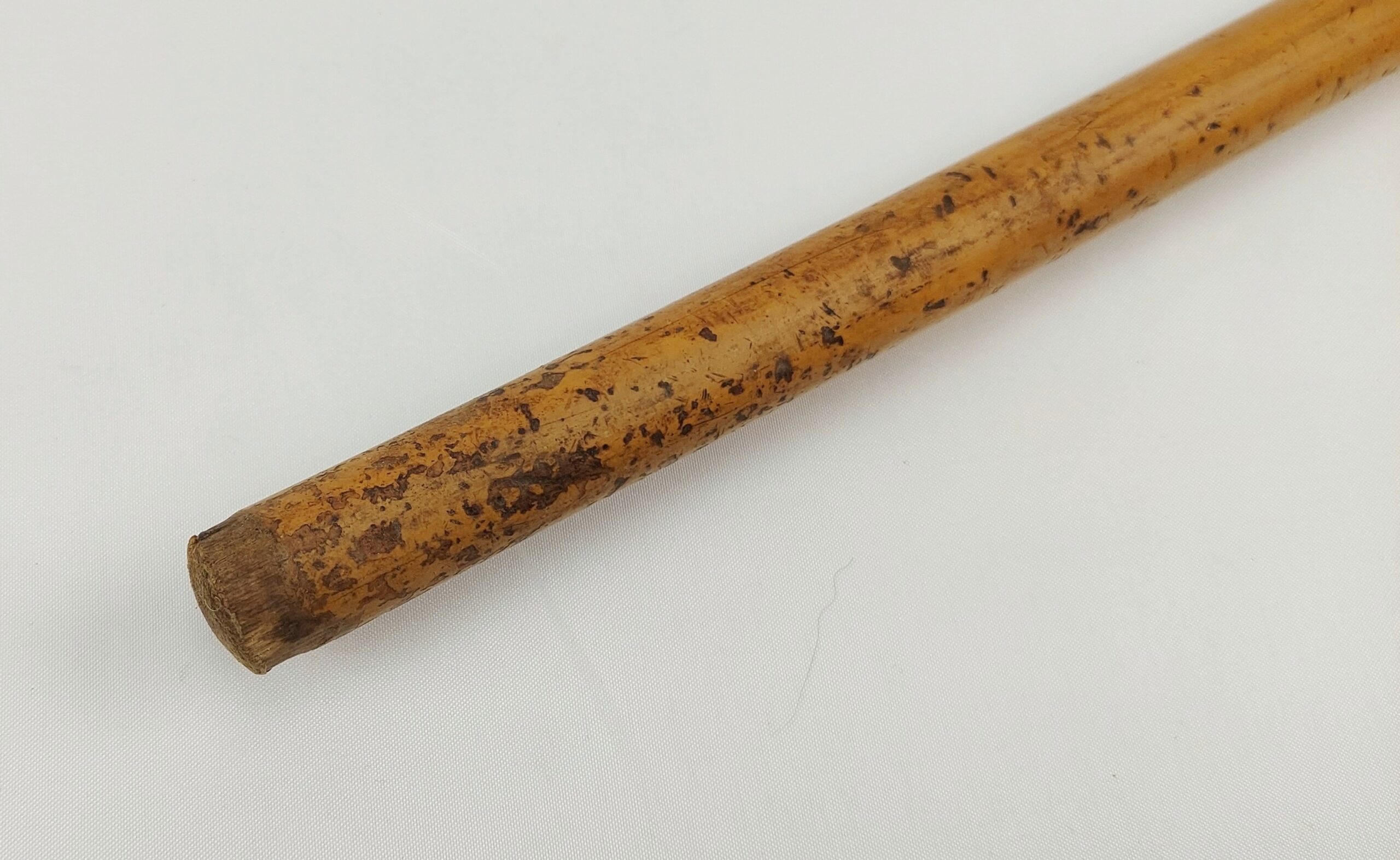Rams Horn Vintage Walking Stick - Image 2