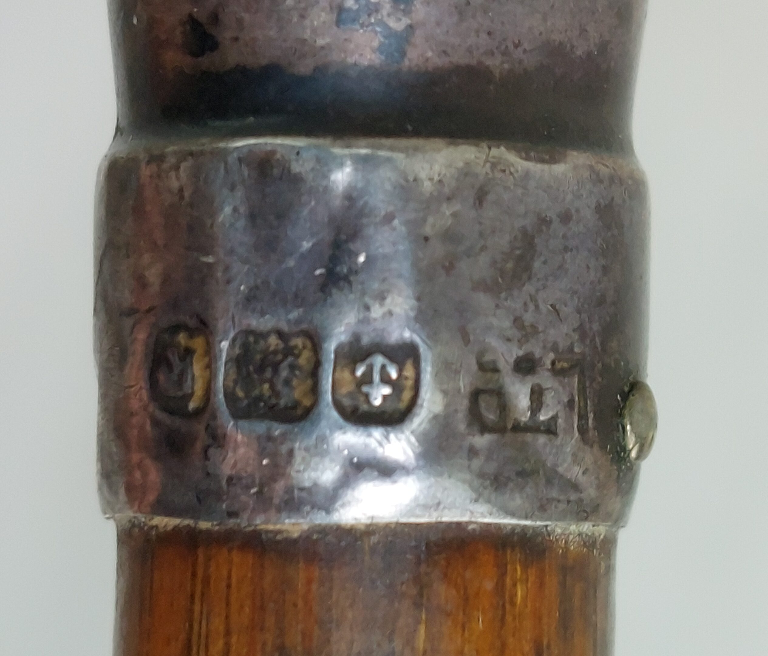 Elegant Ladies Bamboo and Silver Tipped Walking Stick - Image 7