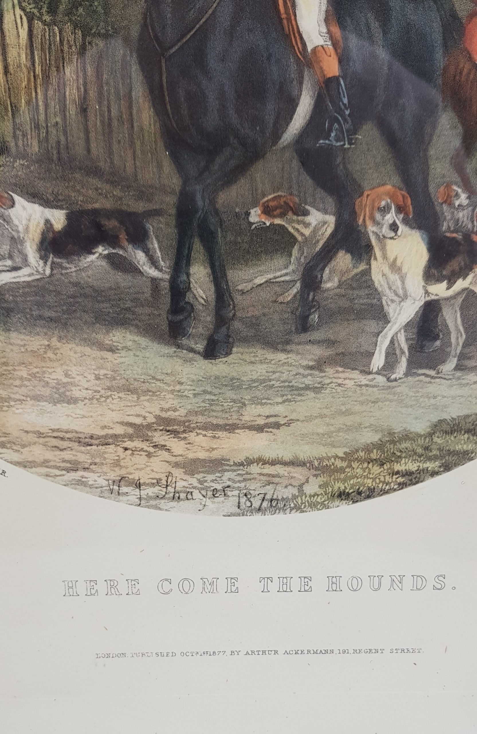 1877 Here Come The Hounds Fox Hunting Print After W J Shayer - Image 3