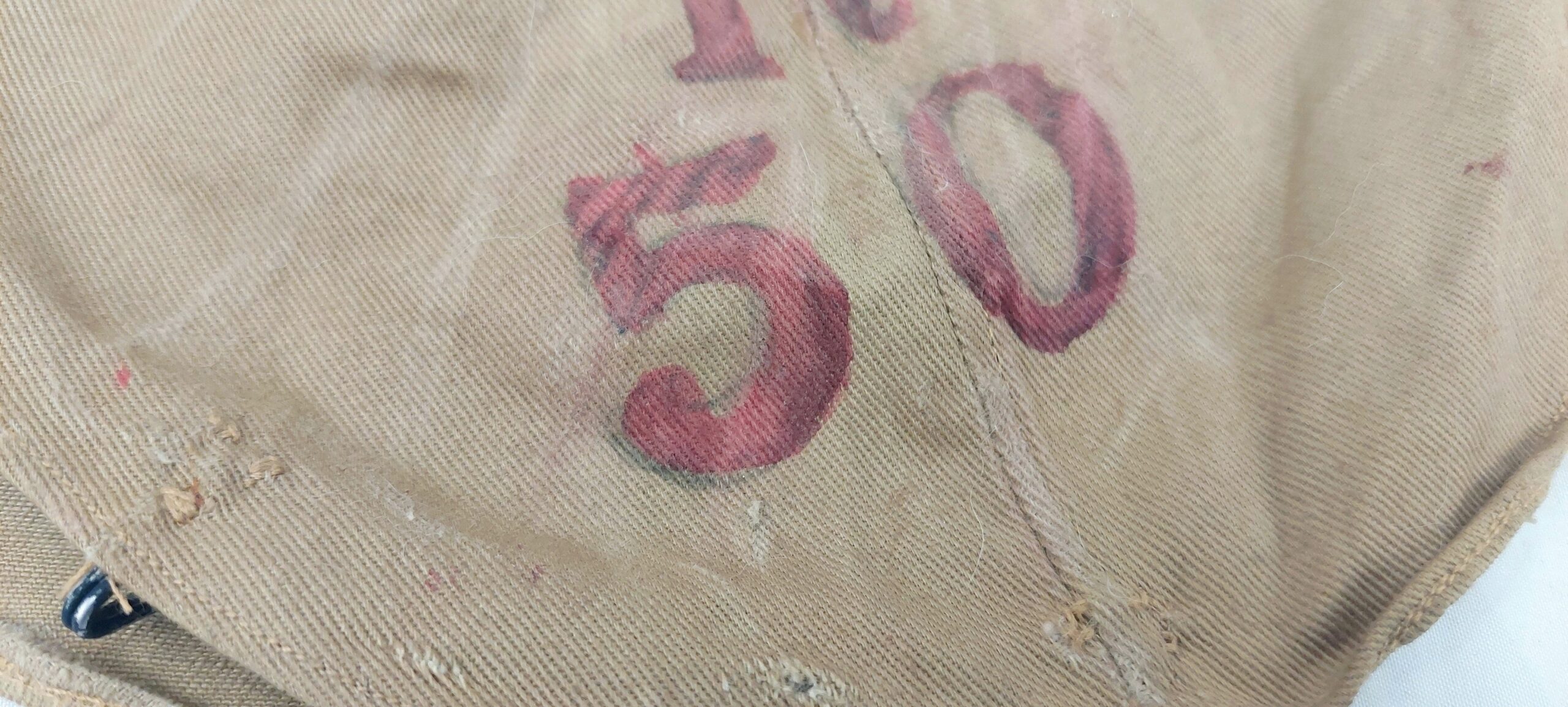 Circa 1916 50th Regiment German Pickelhaube Cover - Image 8