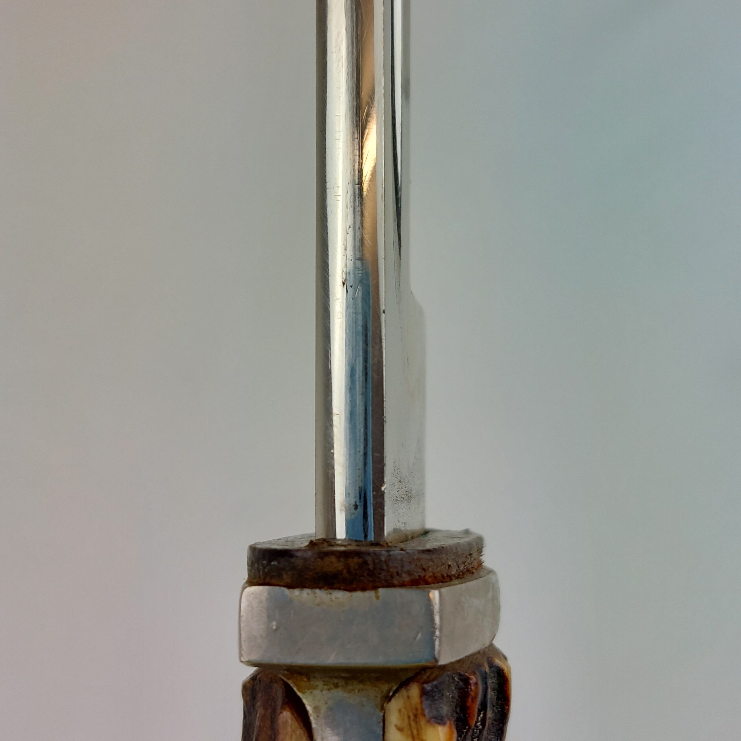 REPLICA WW2 German Police Bayonet, Short Model Stag Grip, stamped Solingen and Scabbard - Image 12