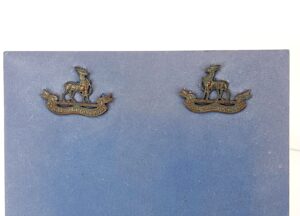 WW1 Royal Warwickshire Regiment Collar Badges