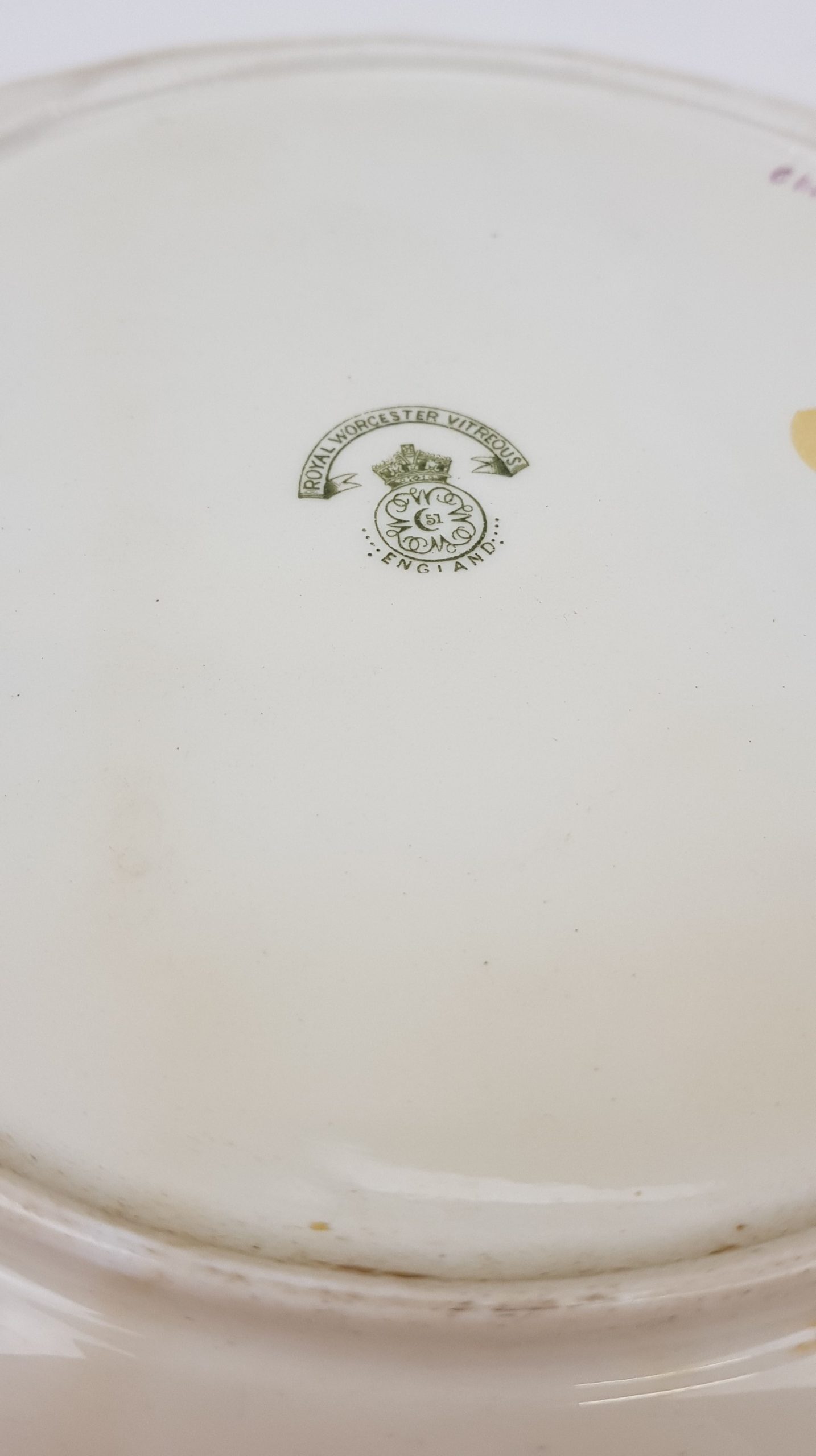 1913 Royal Worcester Hand Painted Plate Of Chub Fish By T Harris - Image 3