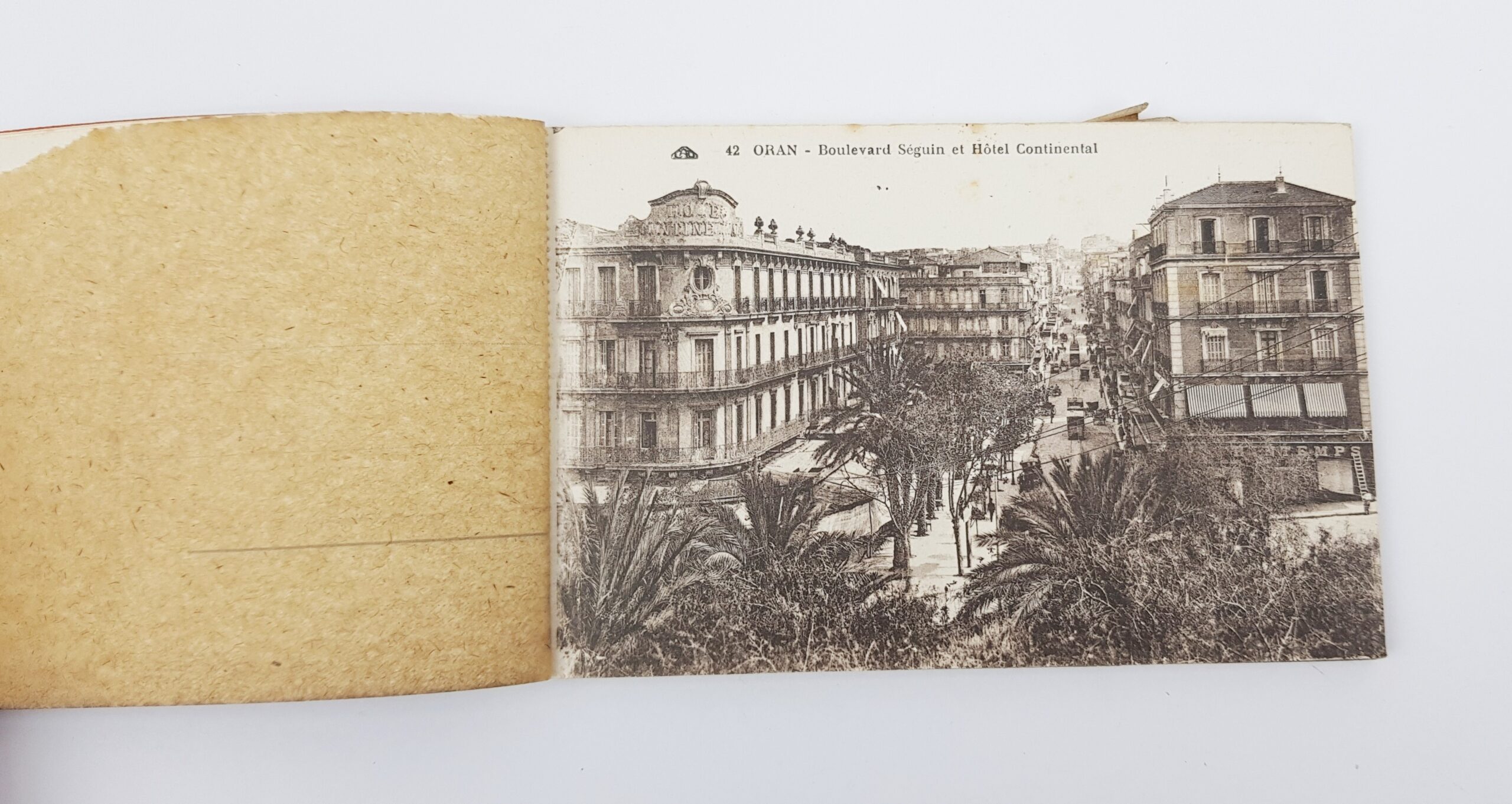 1930s Postcard Album Of Oran Algeria - Image 2