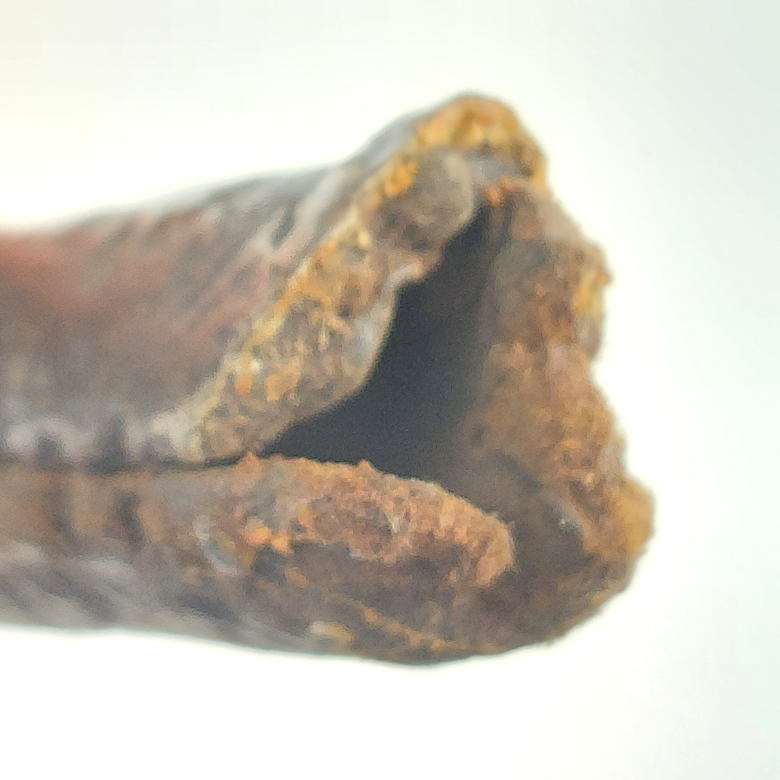 Confederate numbered P1853 Martini Socket Bayonet by Richard & William Aston of Birmingham with leather scabbard - Image 17