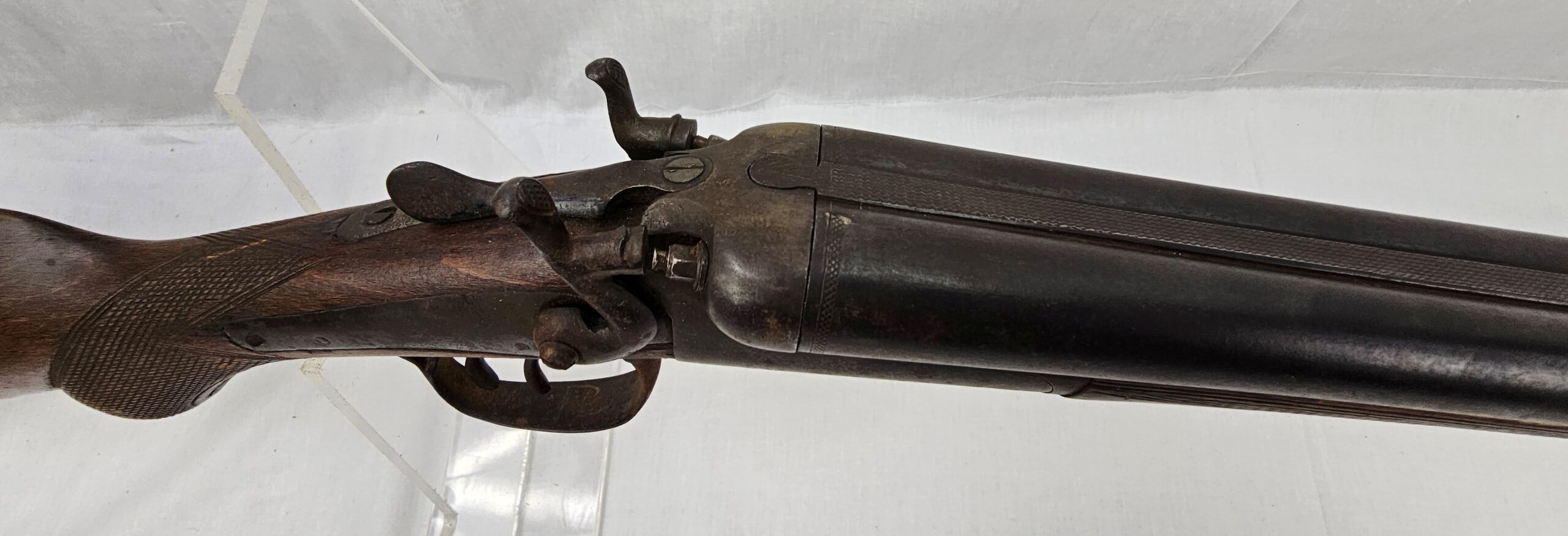 Deactivated Percussion Double Barrelled Shotgun - Image 4