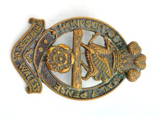 British, Princess of Wales Royal Regiment, Cap Badge, by Firmin