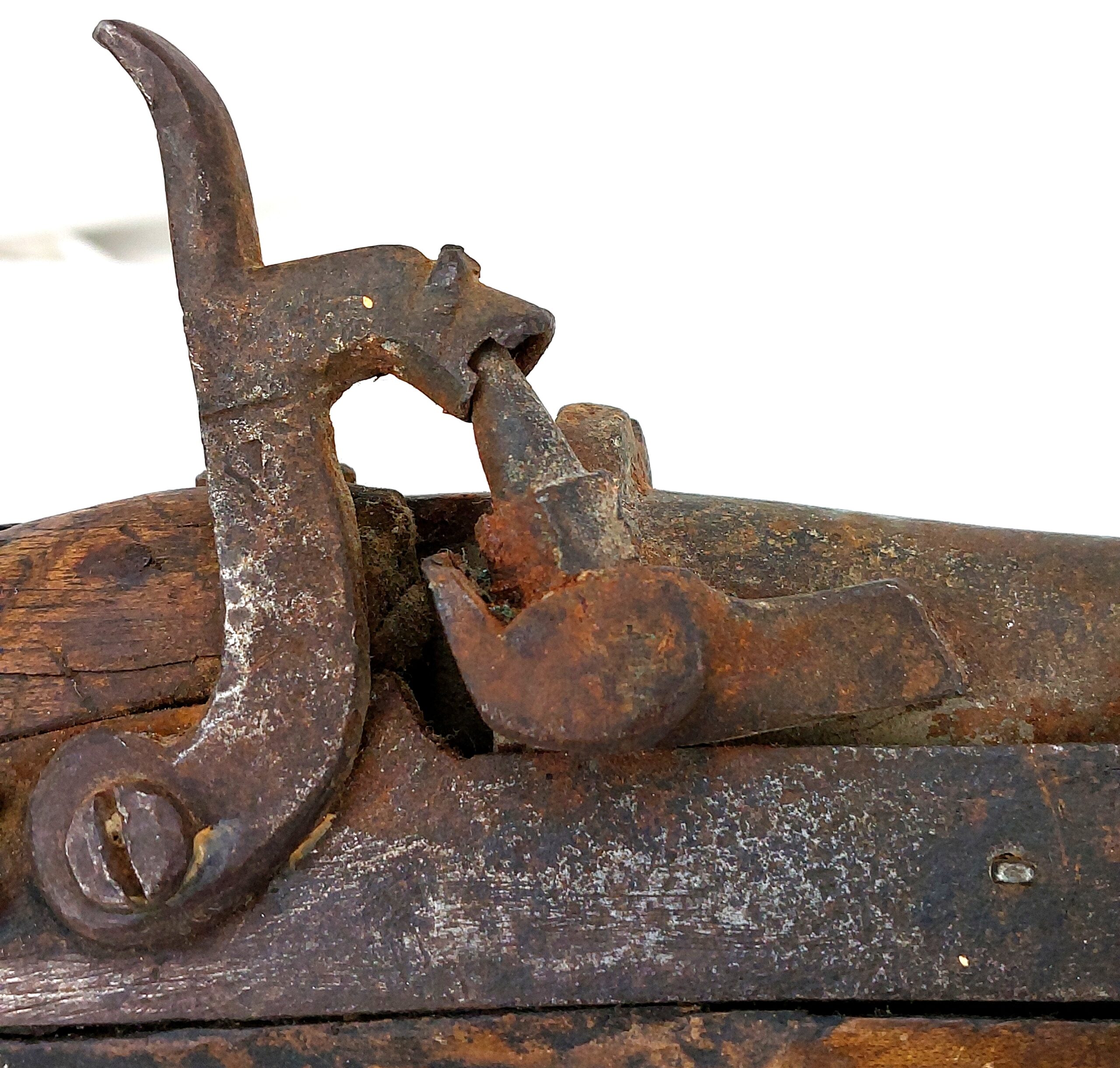 Early, Four Band, Percussion Carbine, Obsolete Calibre - Image 24
