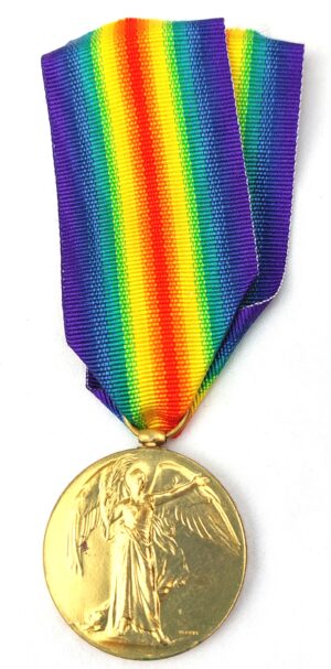 WW1, British, Allied Victory Medal (1914-1919), Awarded to "205730 PTE. C.R. Gardiner. E. York. R."