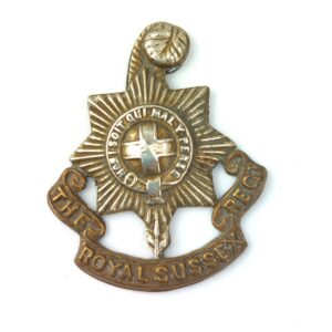 British, Original The Royal Sussex Reg Bi-Metal Cap Badge